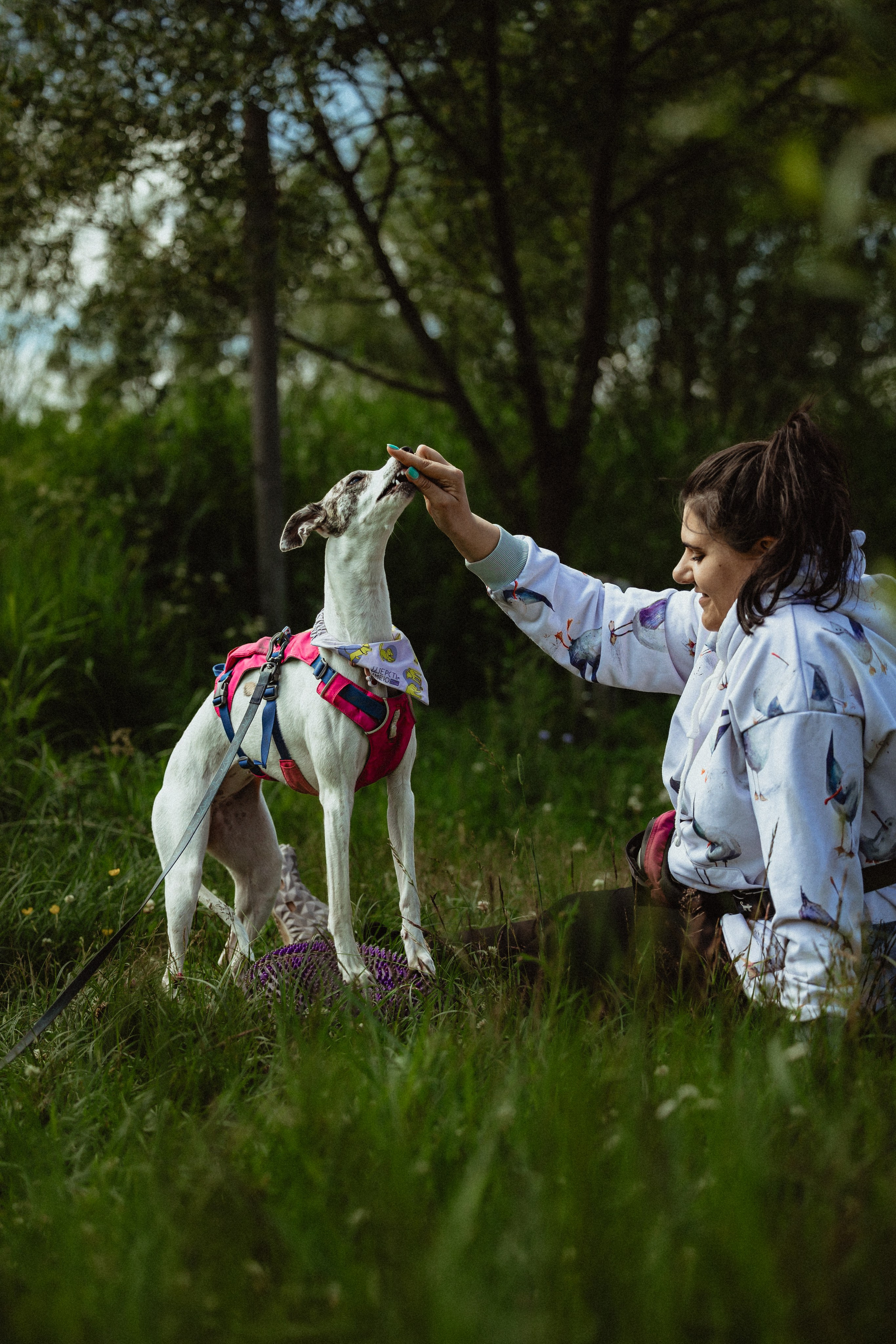 Выездной дог-тренинг от школы «Шерсть имею»