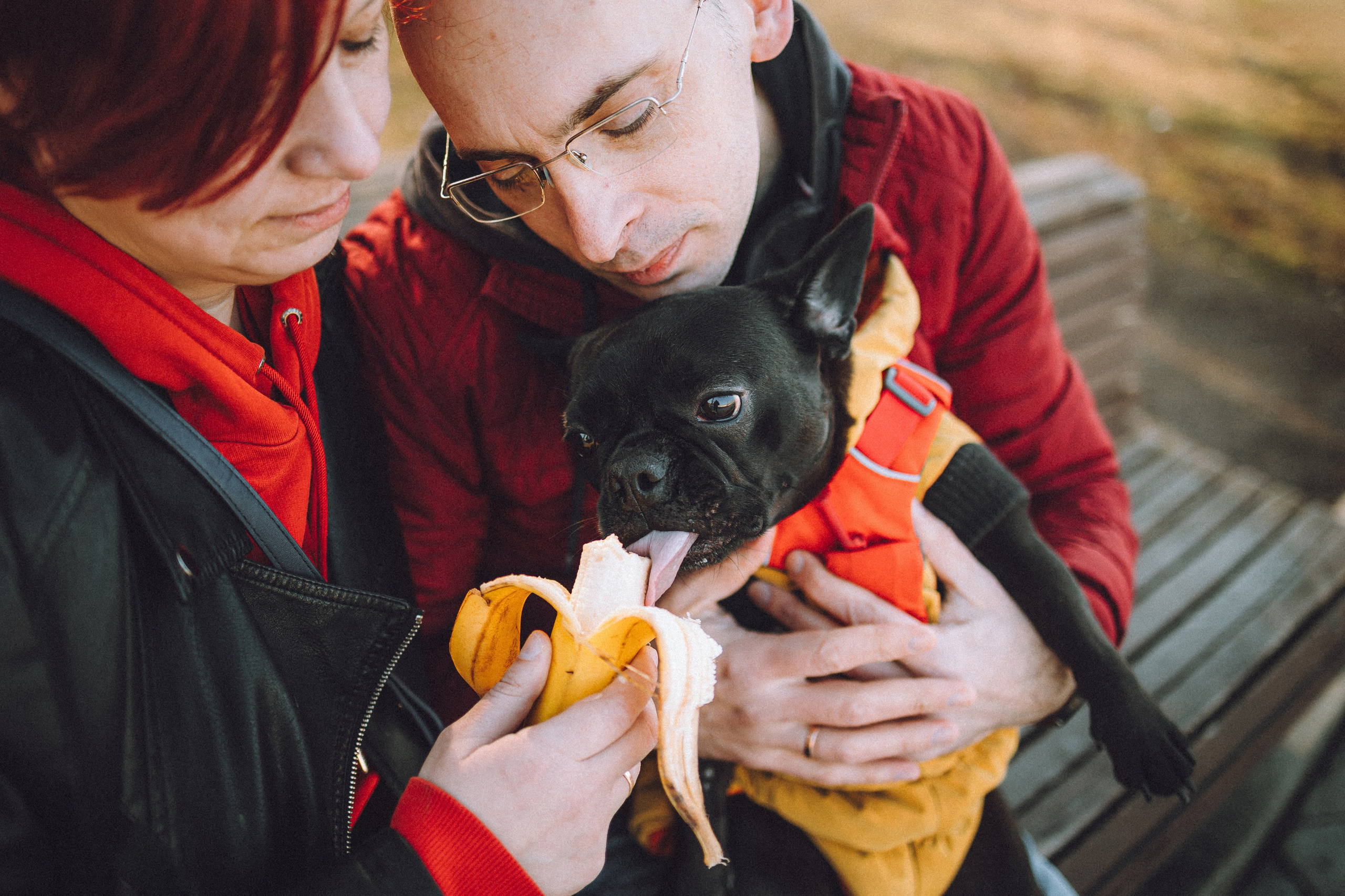 Саша, Дима и Шпуля