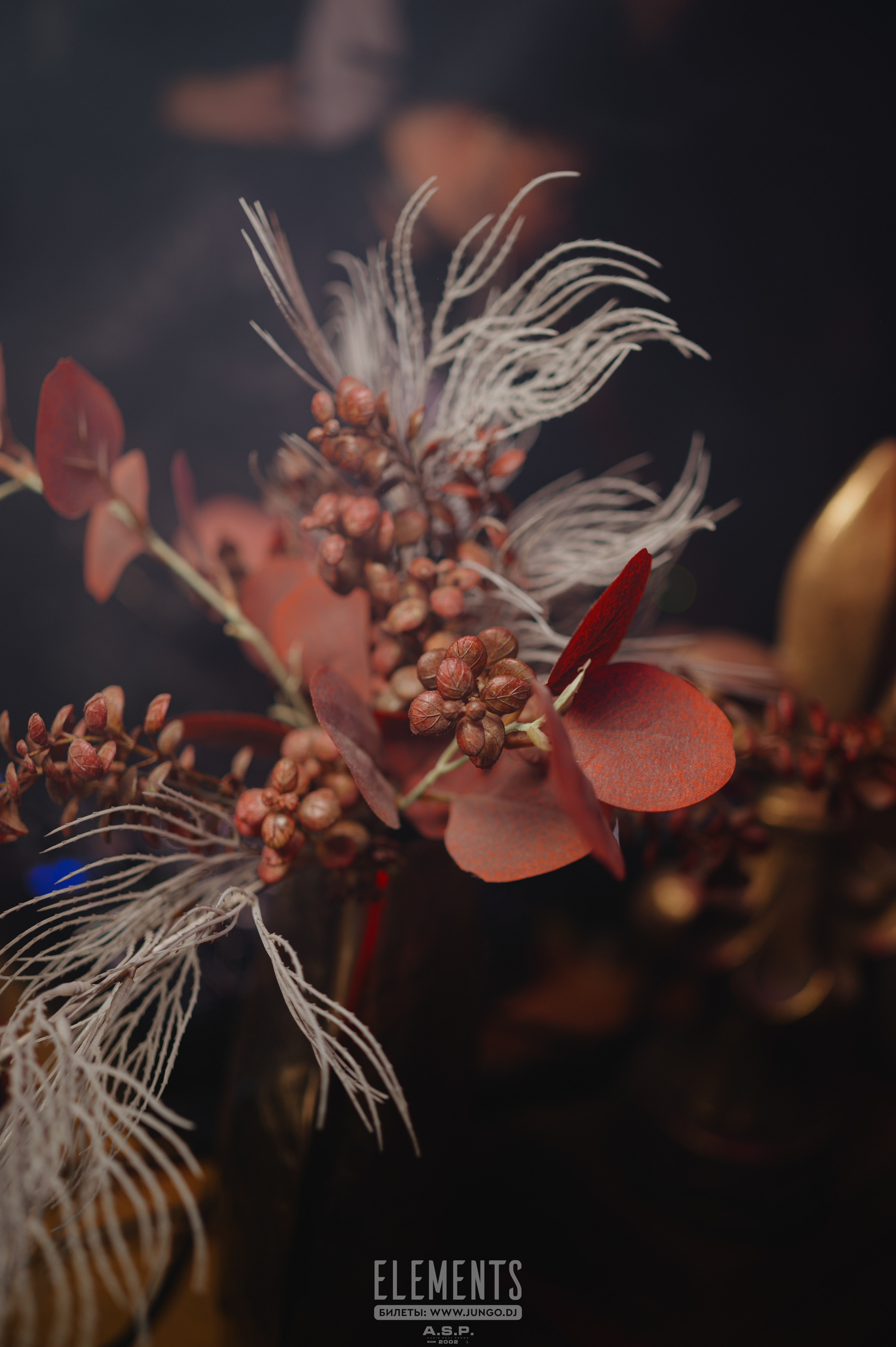 Джанго Освобожденный. Контент фотограф Илья Урс