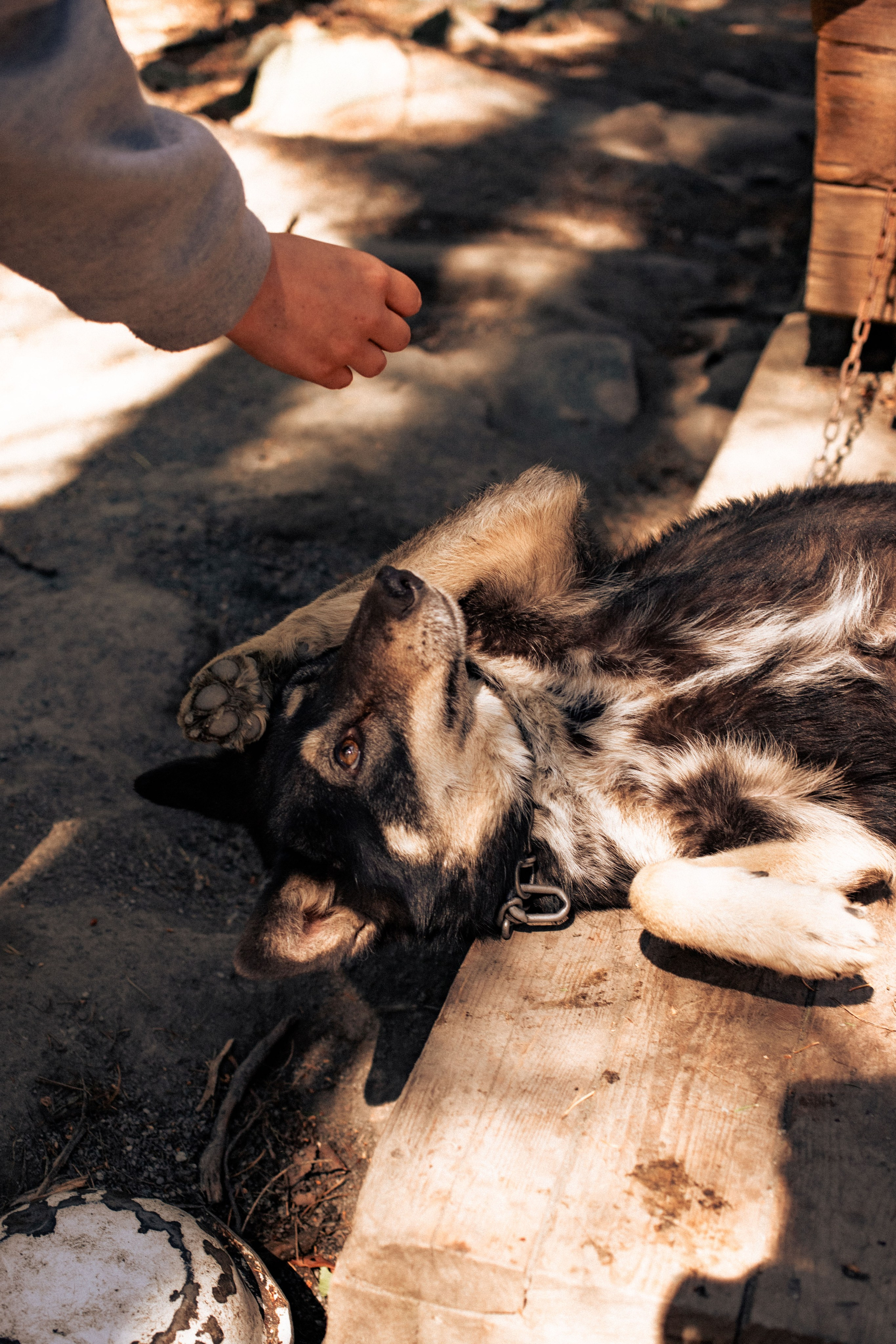 Карелия. Фотограф в Минске Анастасия Ткаченко