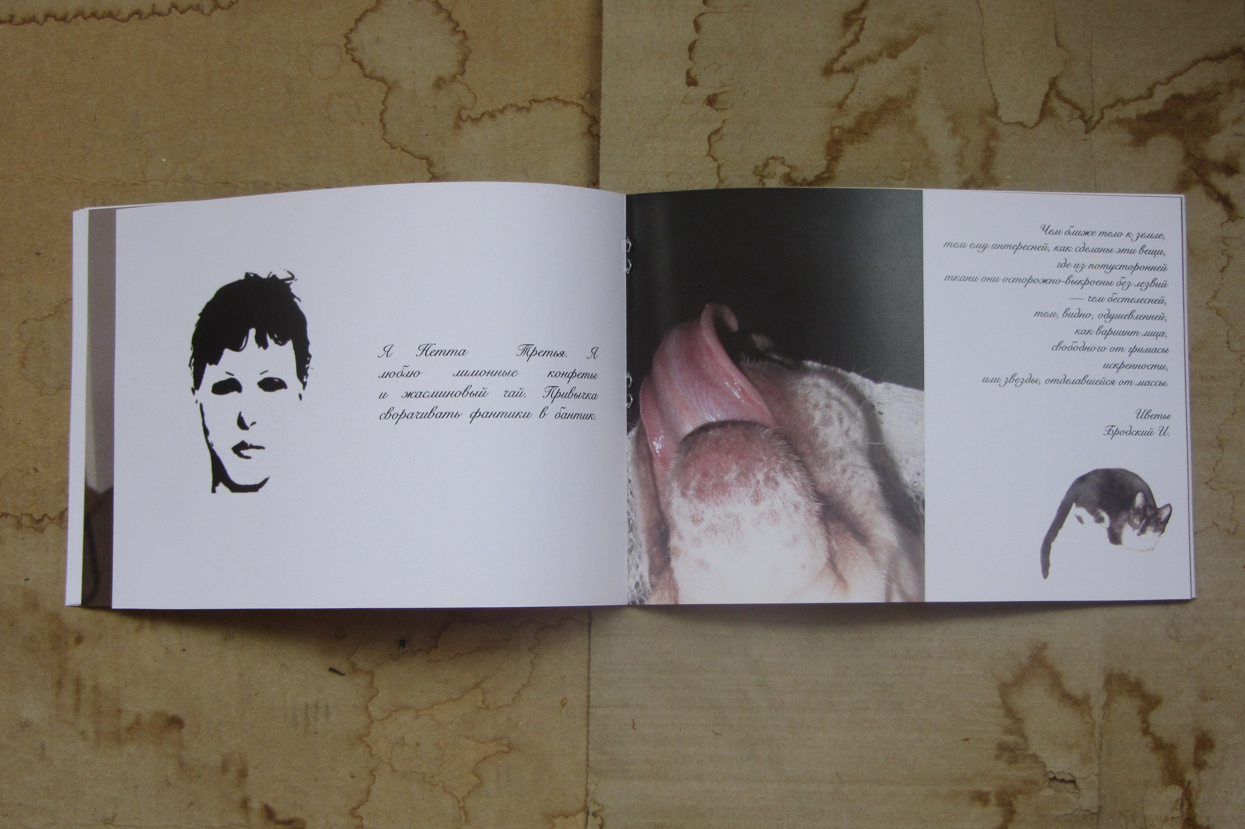 PERSONA 2024. Photographer Tabarchuk Ulyana