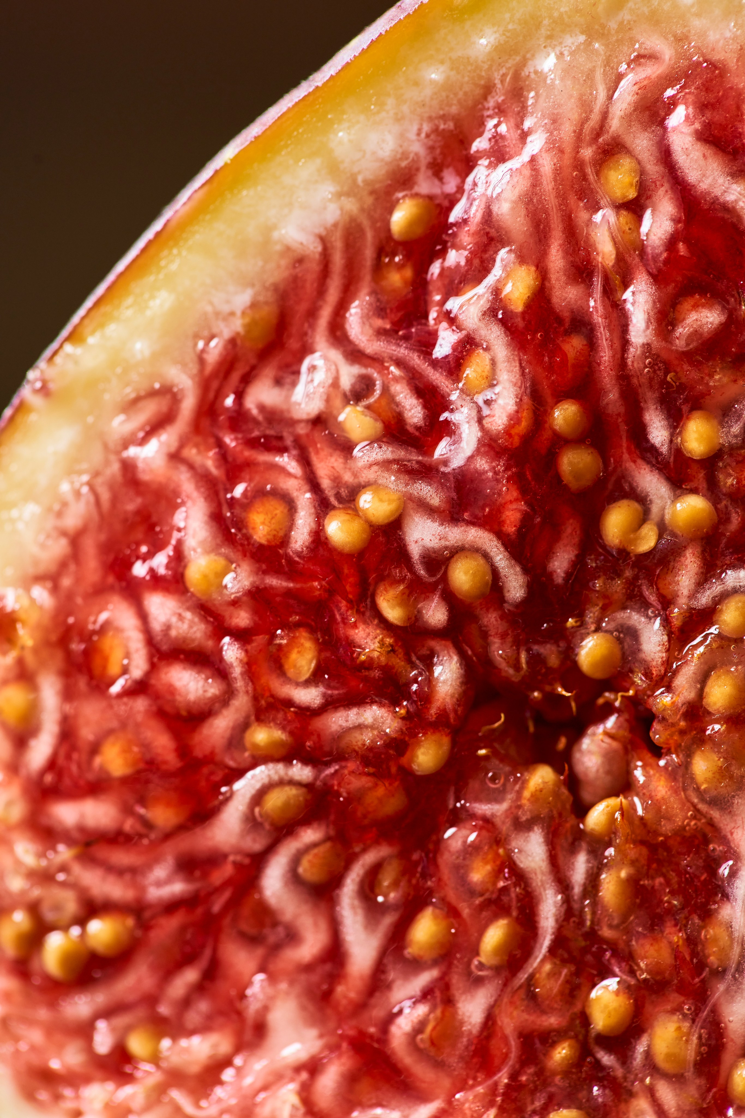 Erwin. Контент фотограф в Москве Александр Хитько