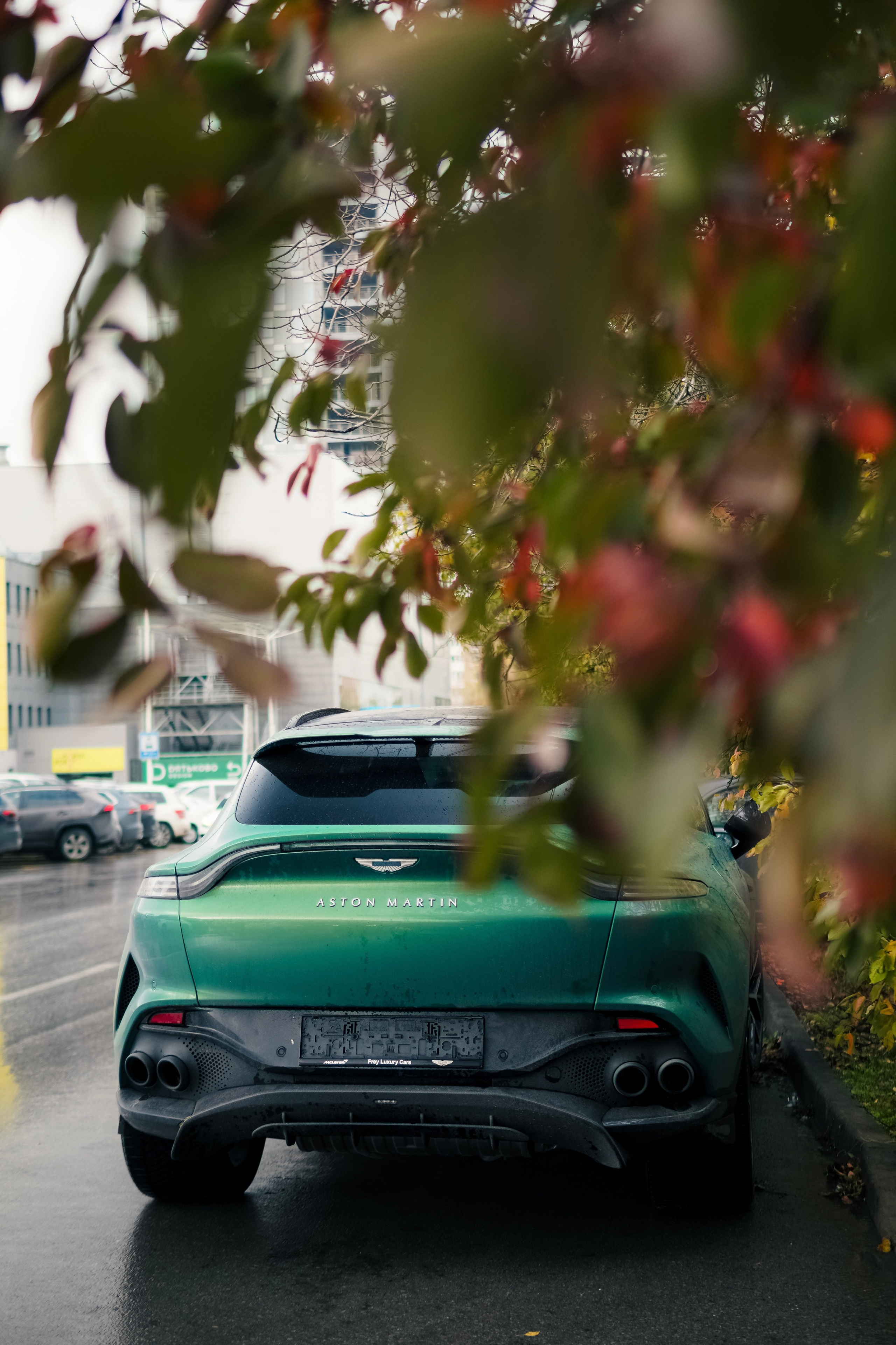 Aston Martin DBX 707. AutoAlexArt