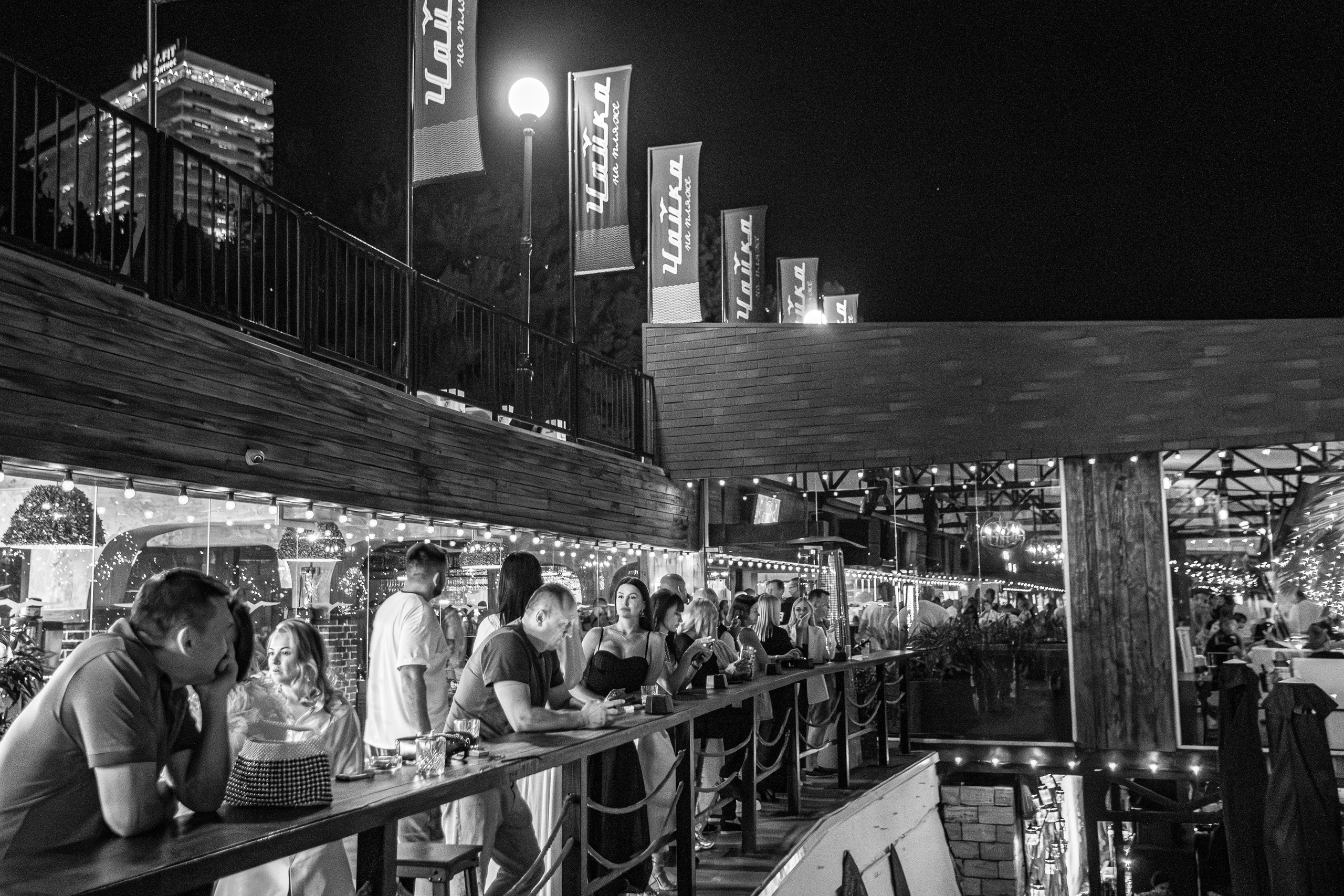 «АВРААМ РУССО"_Чайка на пляже_Ялта_21.06.2025. Аминов Руслан | Фотограф