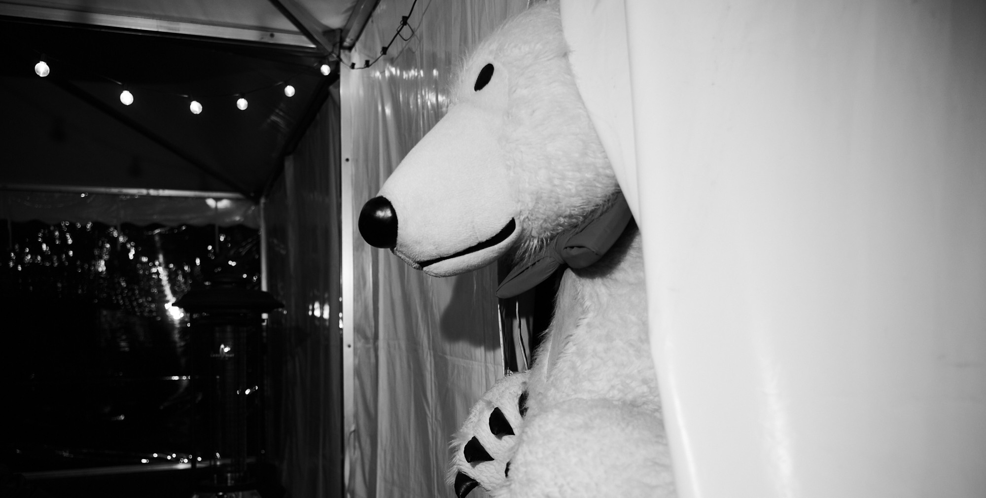 Анастасия и Алексей. Свадебный фотограф во Владивостоке Гарагуля Игорь