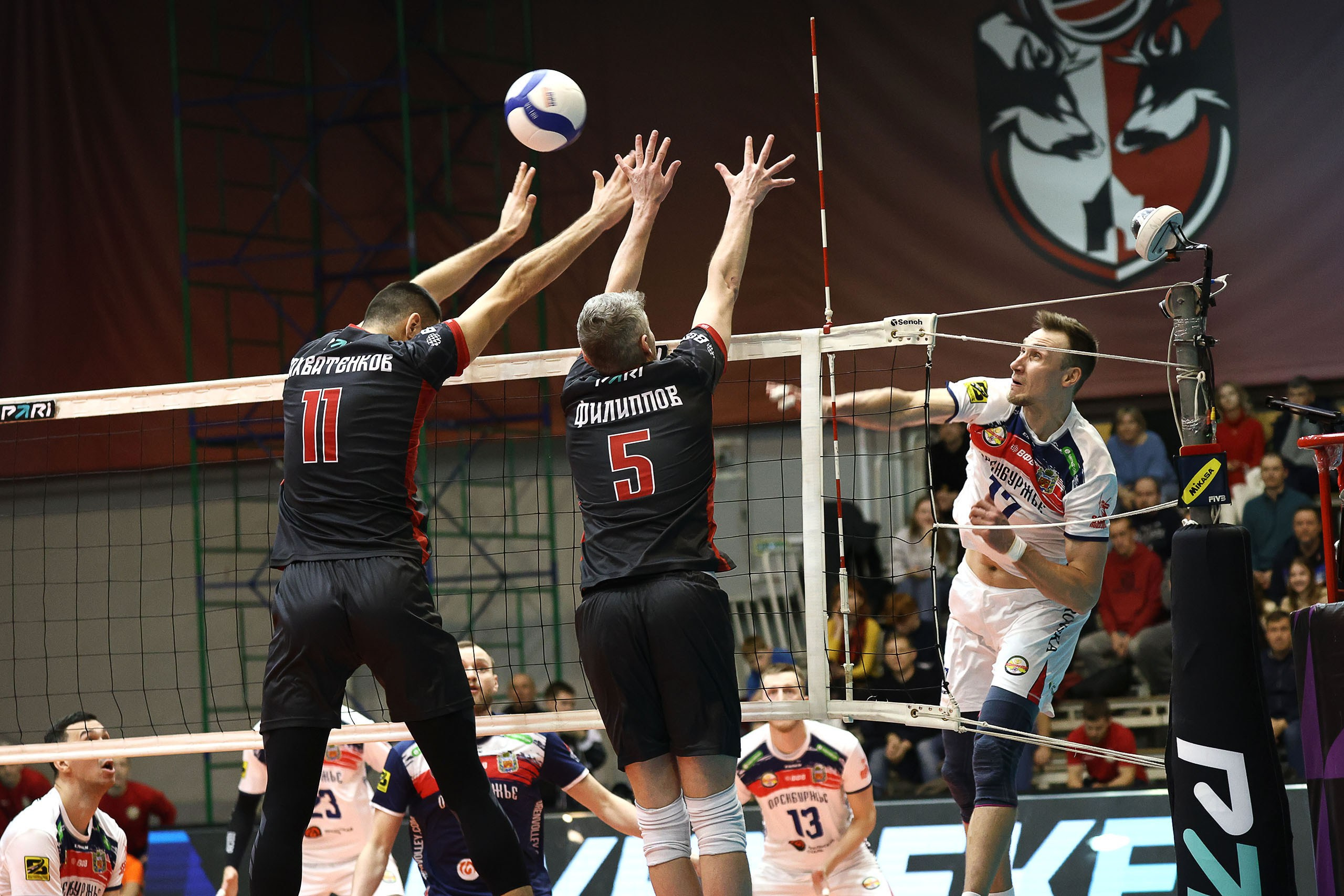 ВОЛЕЙБОЛ. Reportage photographer in Nizhny Novgorod and Moscow angelina Ilyichev