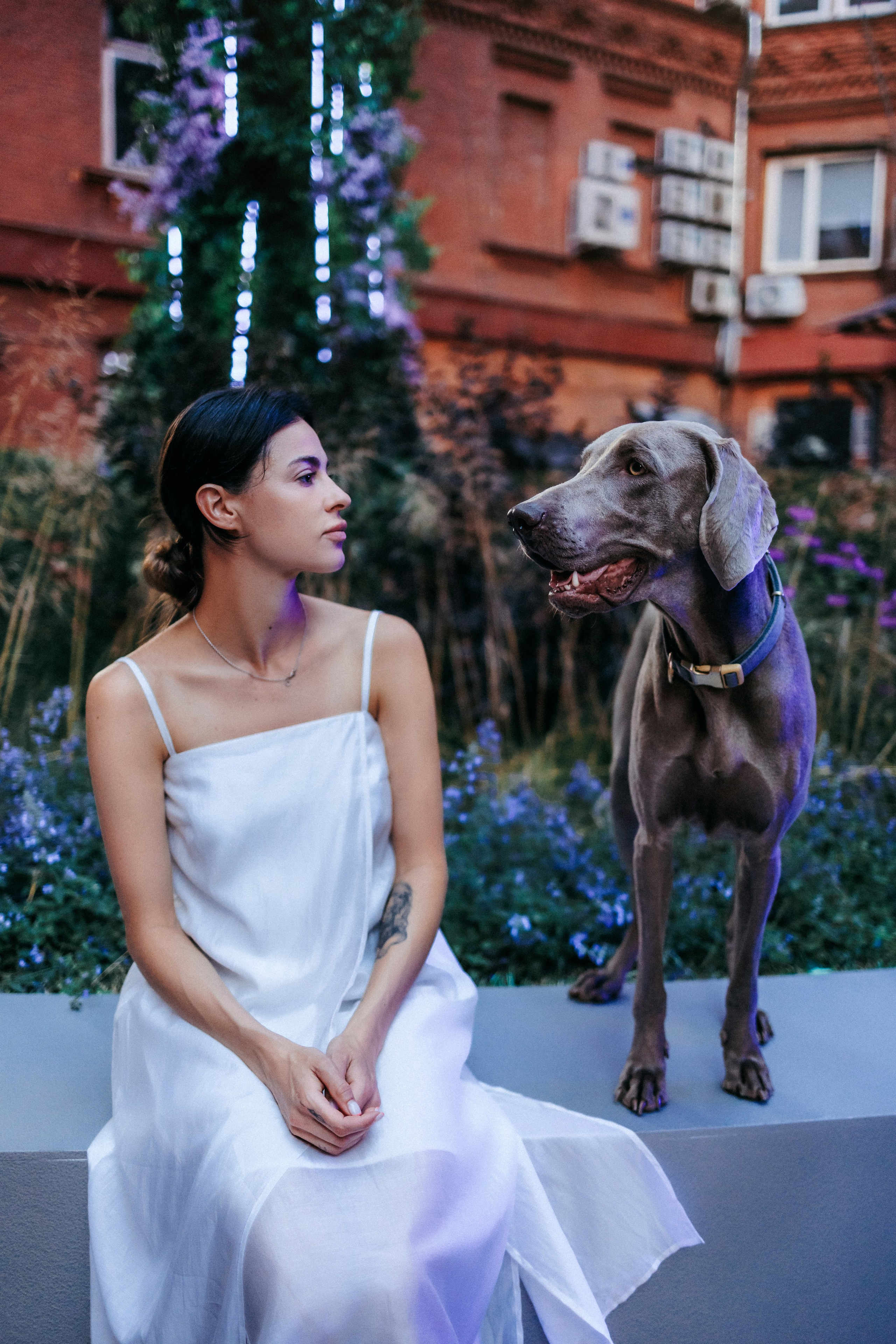 Соня и Майли. Фотограф-анималист Елена Радченко, Москва