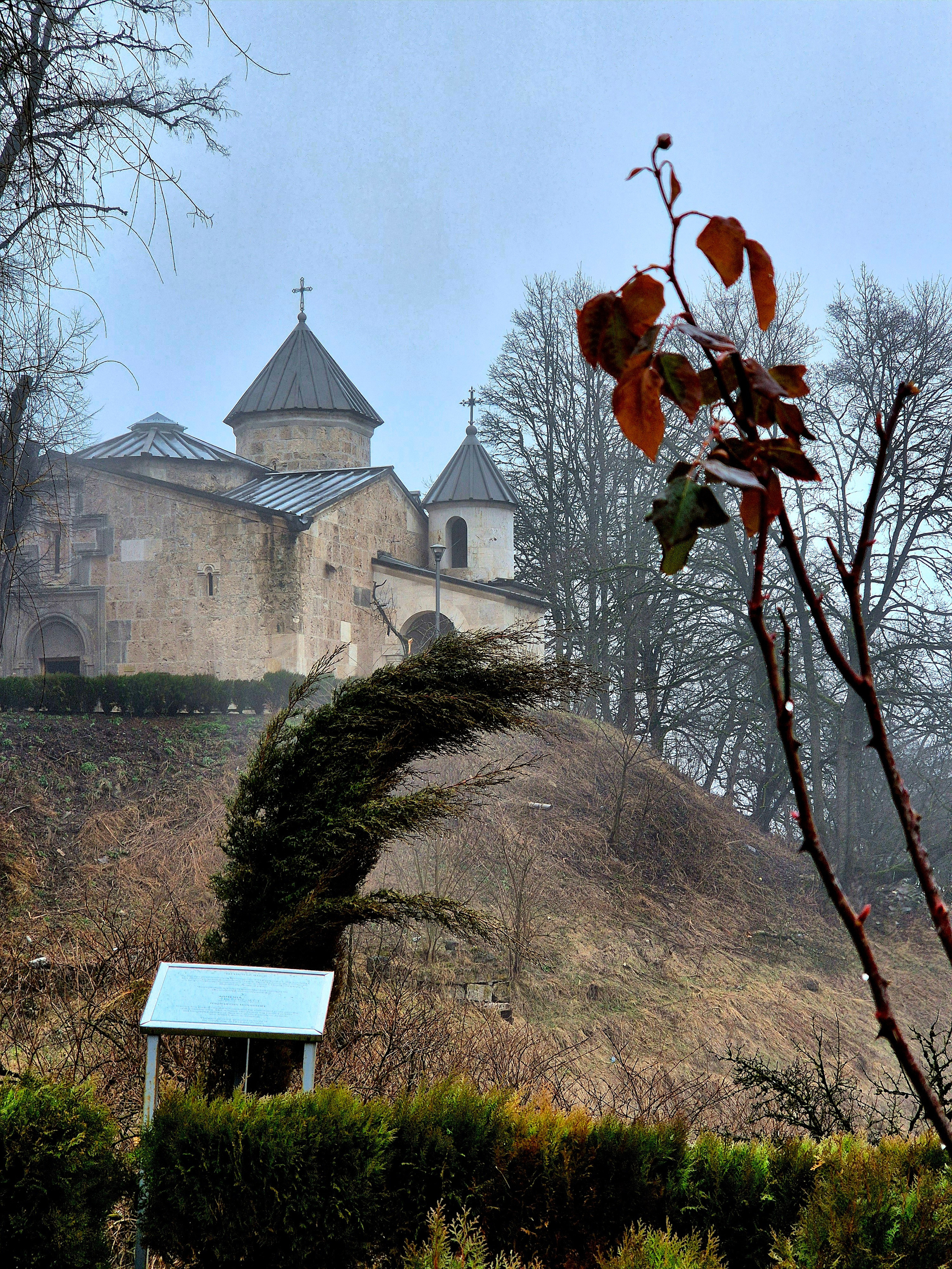 Тишина, воздух наполнен запахами весеннего влажного леса