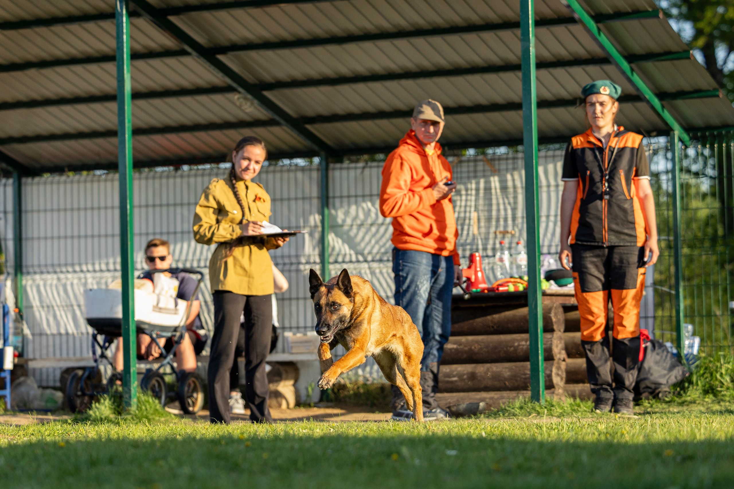 Испытания по мондьорингу в Нижнем Новгороде. Фотограф-анималист Анна Маринич
