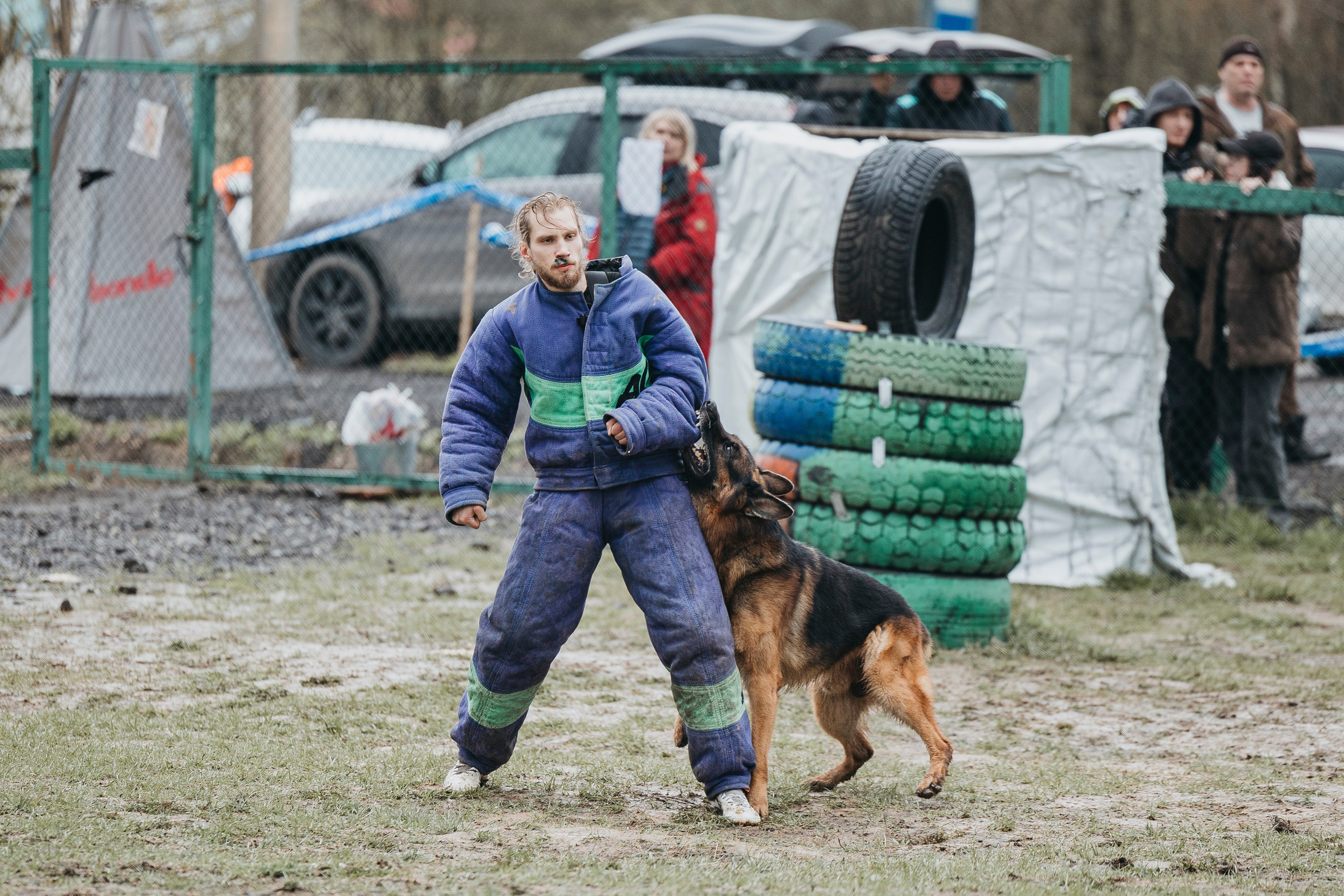 09.05.25 Вологда соревнования. Фотограф-анималист Анна Маринич