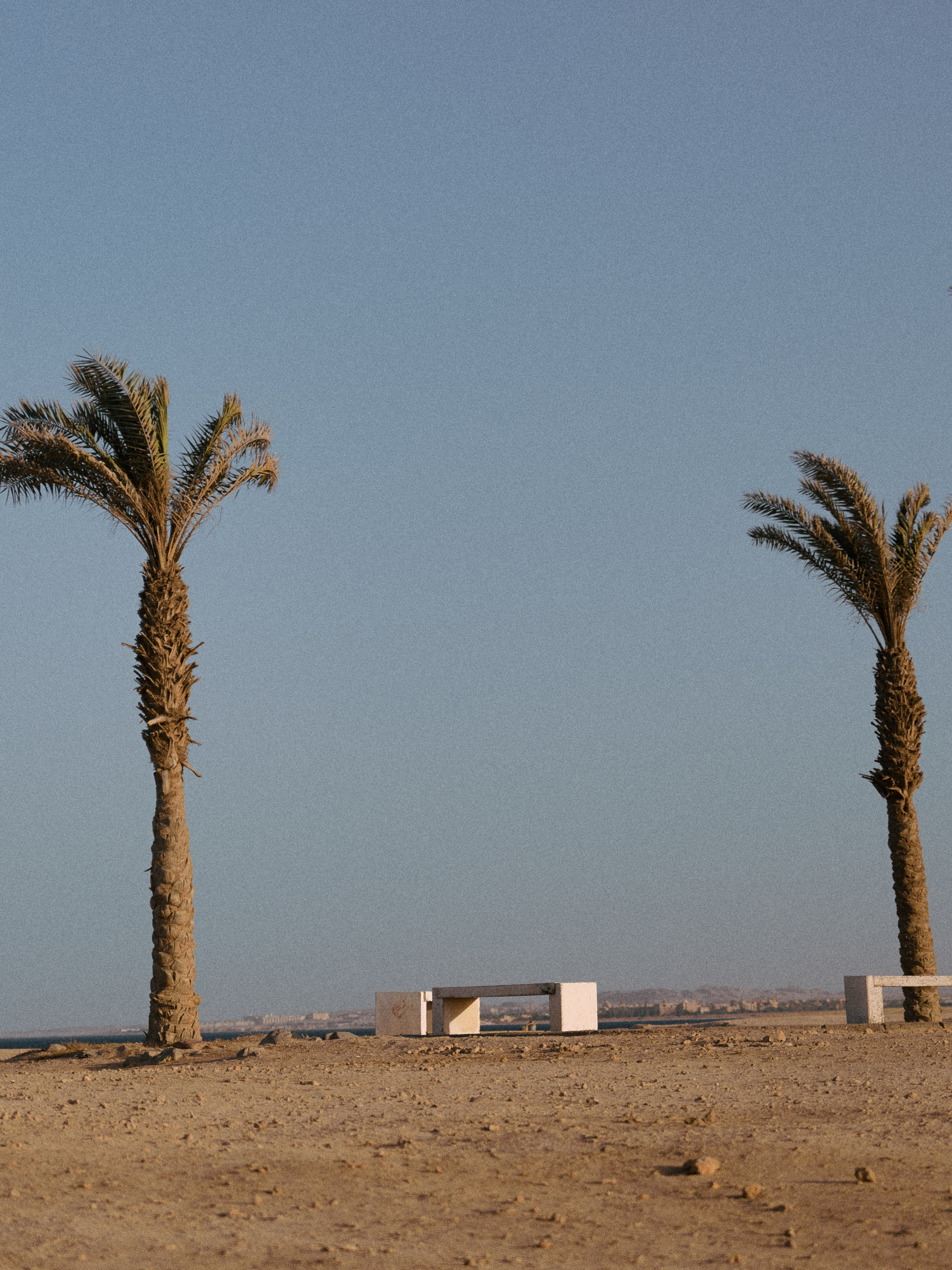 Улицы. Jorgis Talè — photographer, kind person, teacher of arts and other mag