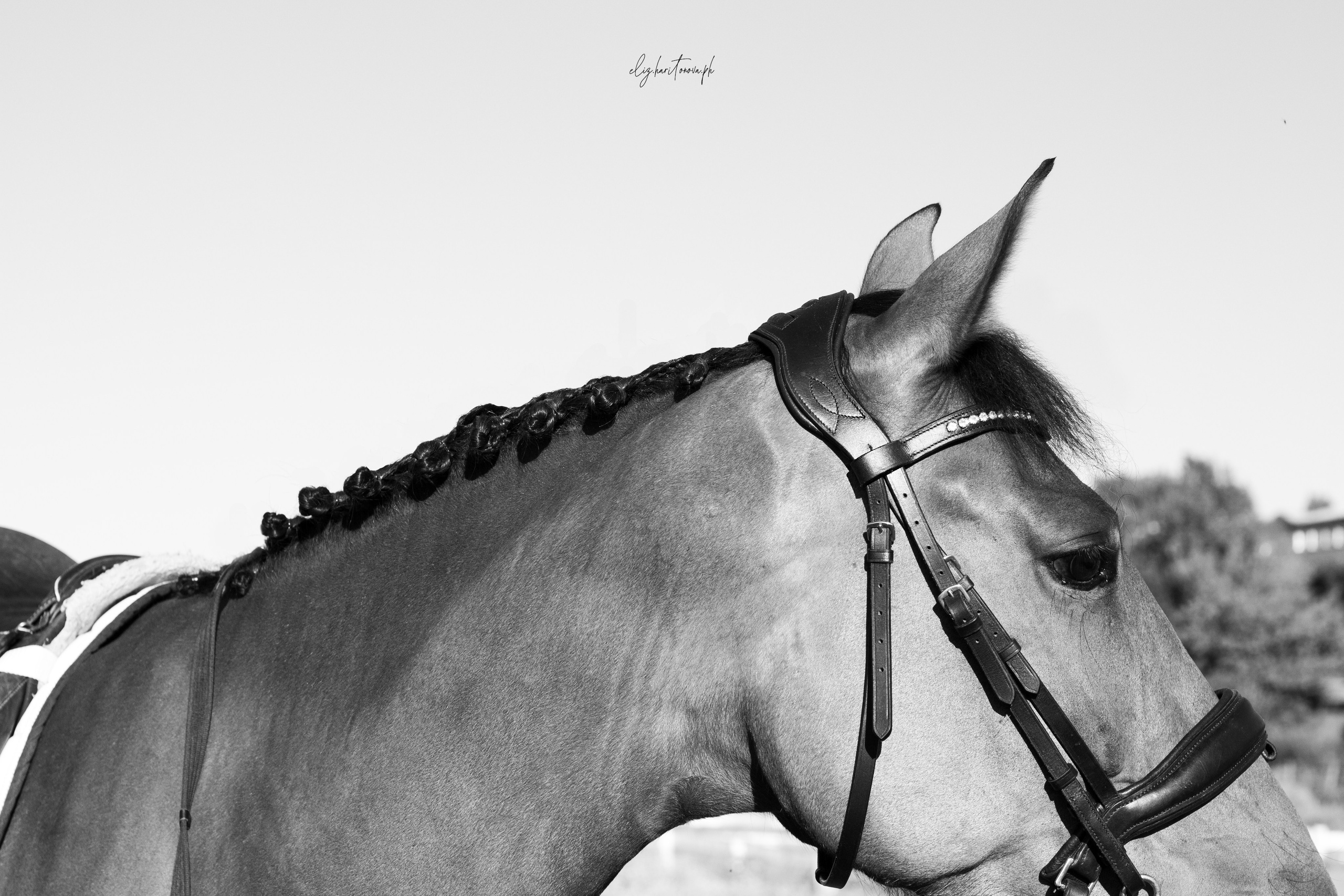 Елизавета и Селеста. Фотограф в Иркутске, Харитонова Елизавета