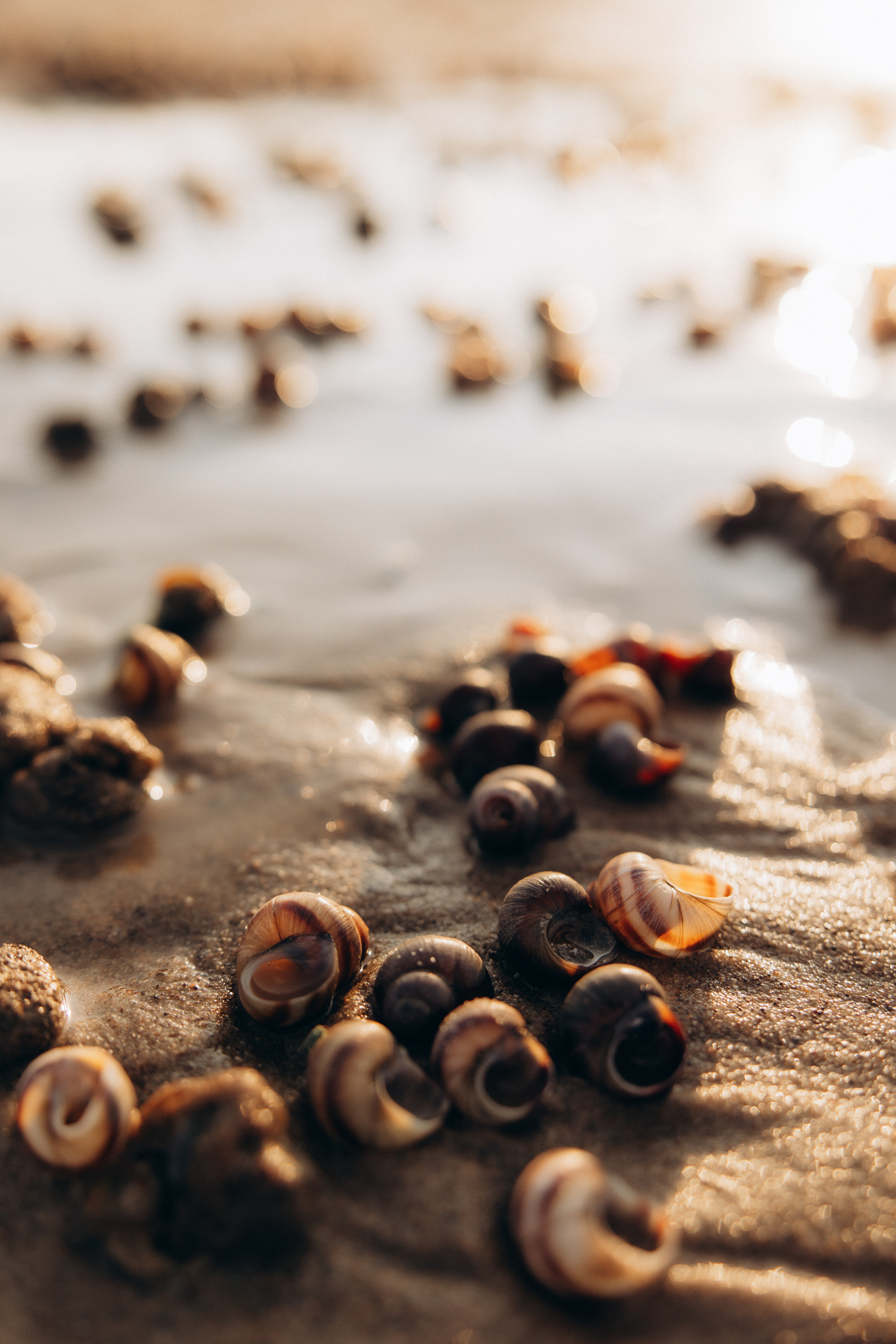 На пляже. Школьный фотограф в Новосибирске Наталья Иванченко