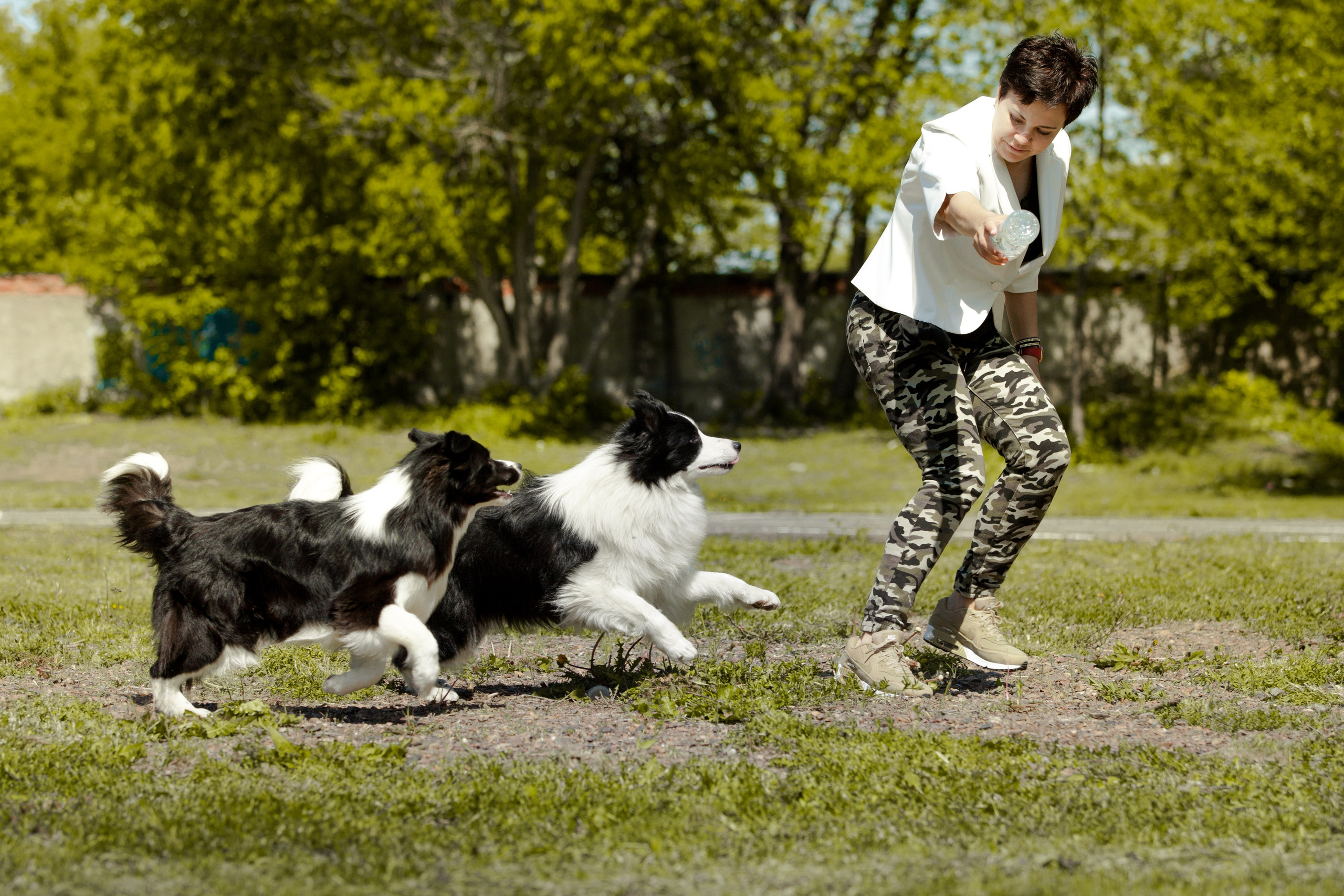 Зеленое в Оренбурге 19. О нас