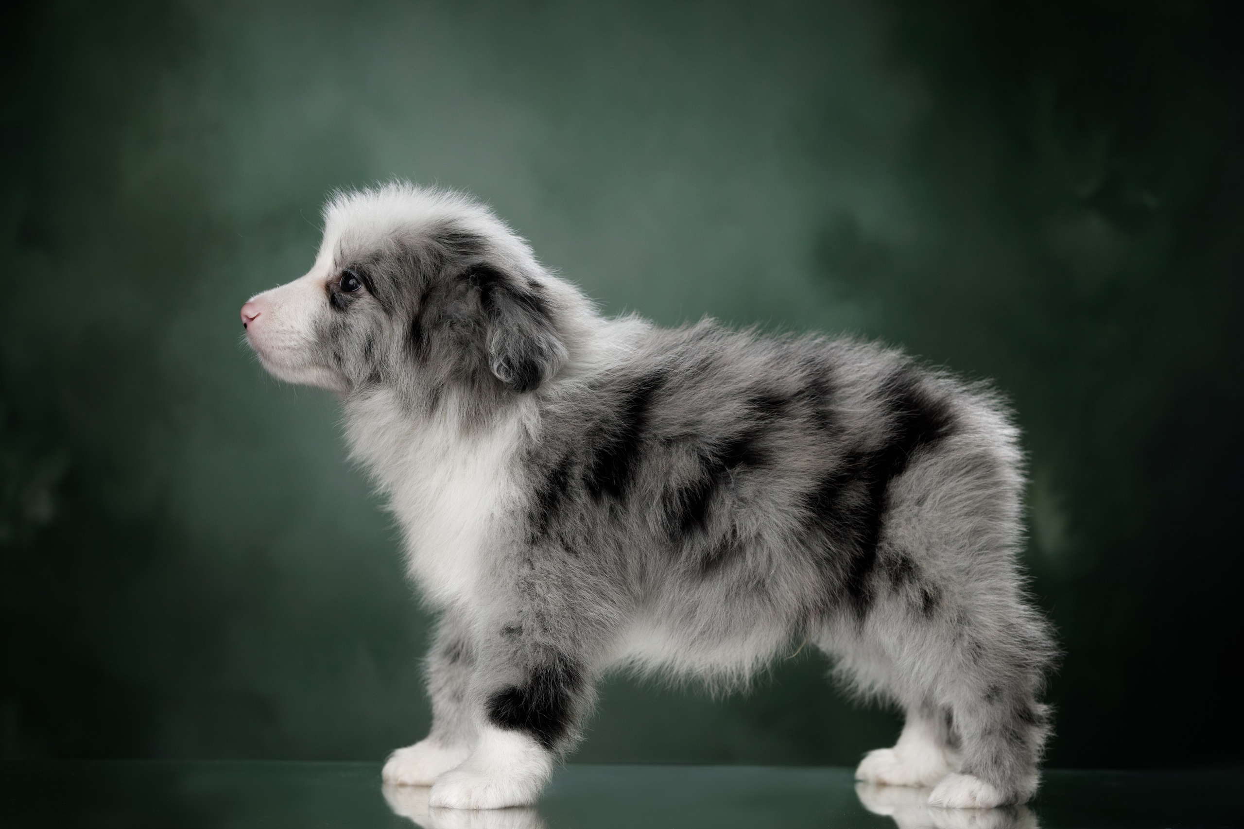 Март. Весна. 22. О нас