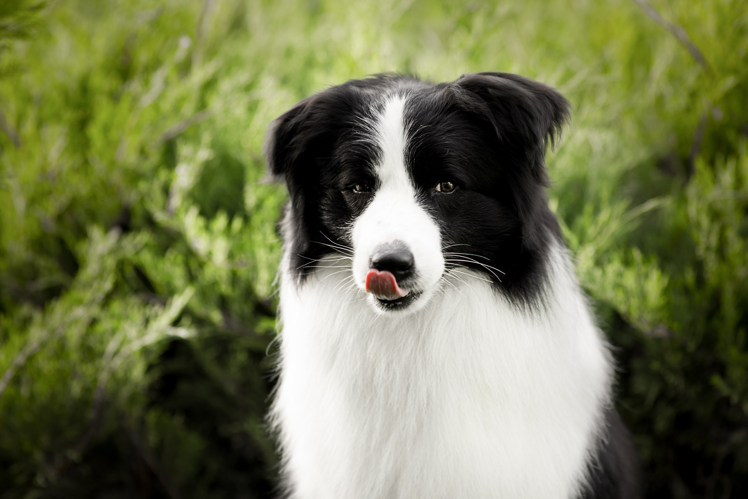 Роскошь в ростошах. О нас