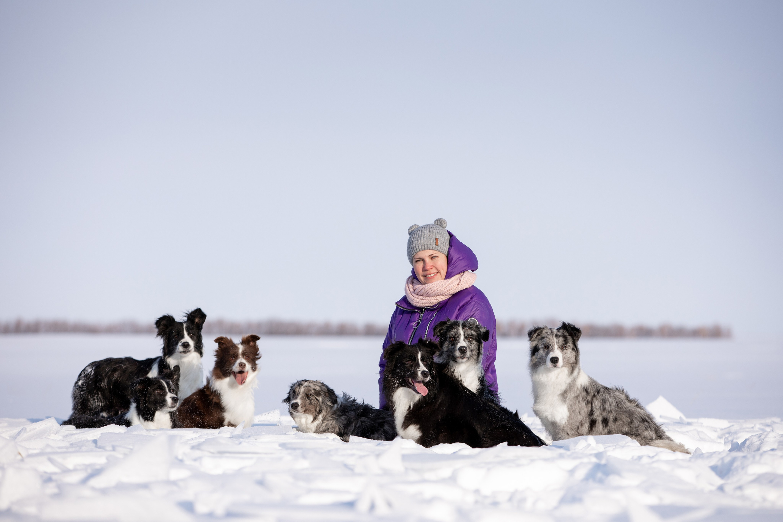 Мороз и солнце. О нас