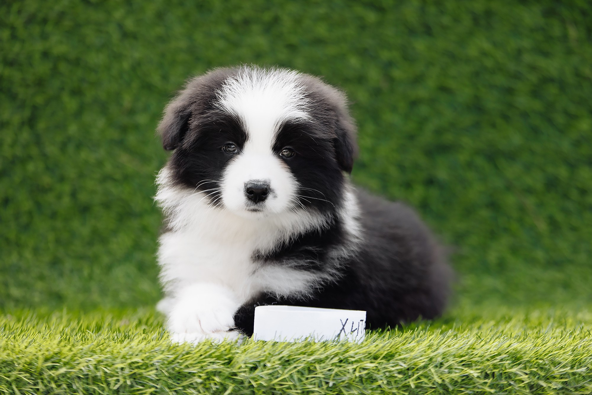 Новый лист. О нас