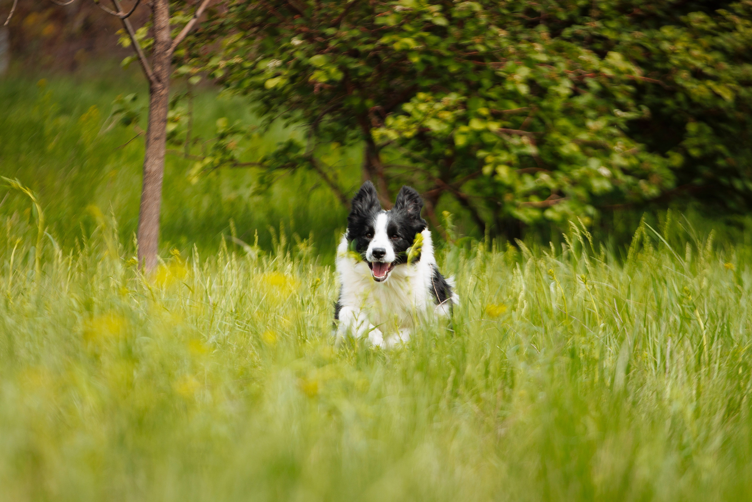 Такой разношерстный Орск 25. О нас