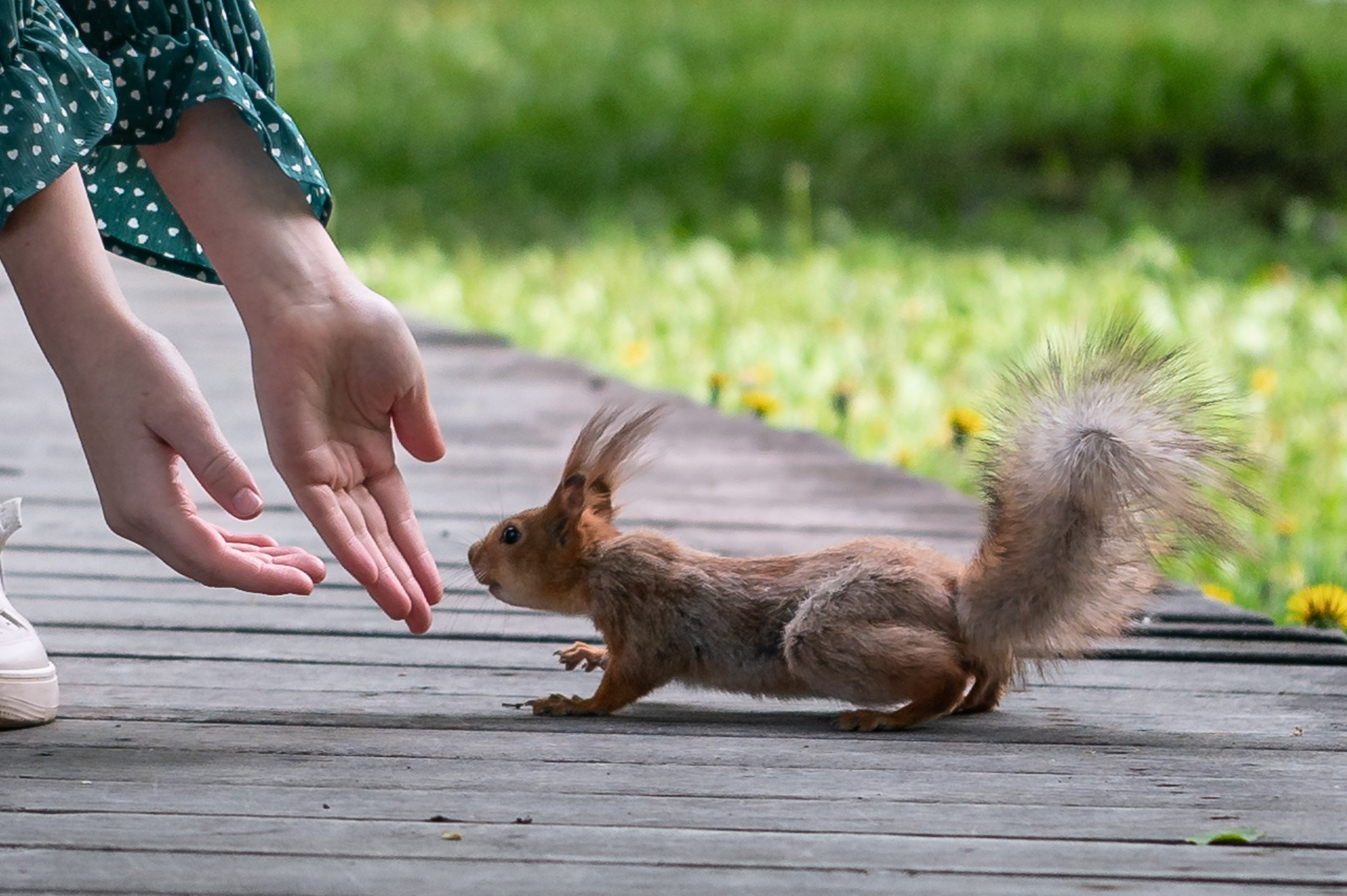 Настя и Миша
