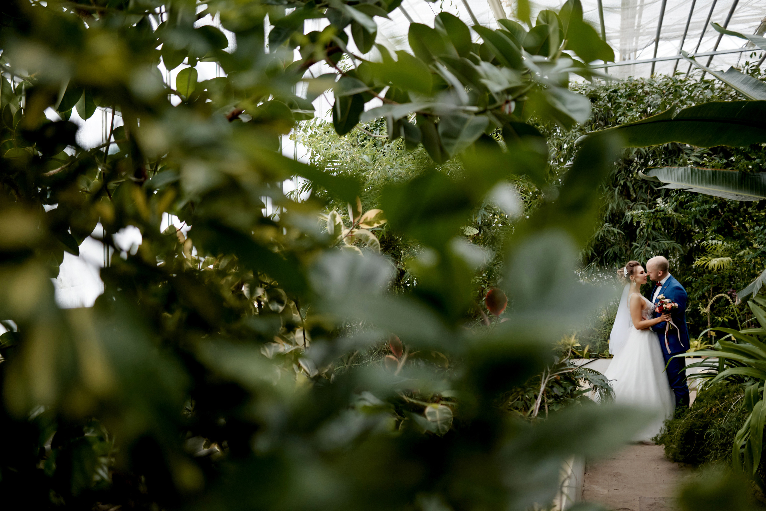 Тропики зимой. Свадебный и портретный фотограф Пётр Ладанов