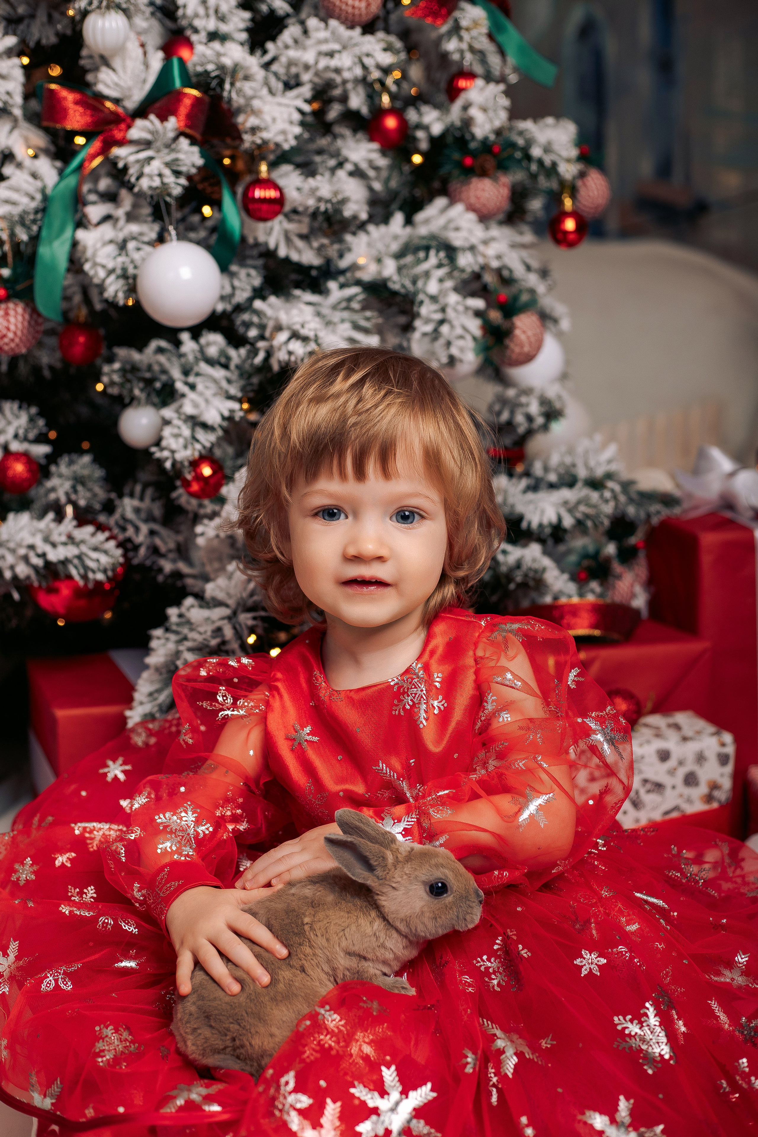 Новогодняя фотосессия фотодень спб с кроликами. Фотограф в Санкт-Петербурге, Анна Скворцова