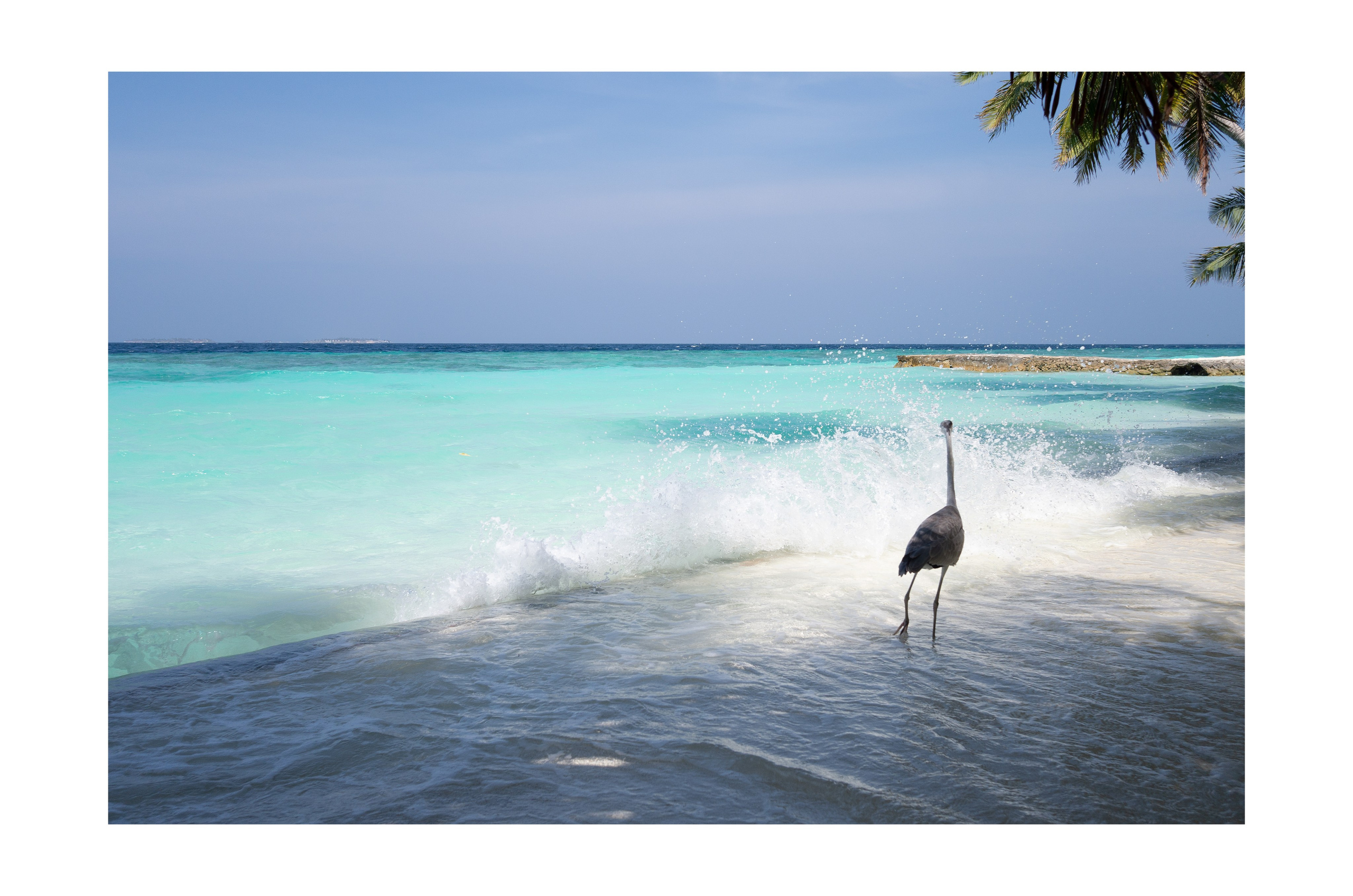 Интерьерные фотографии Мальдив. Фотографии Руслана Сайдалиева (Рус Сай)