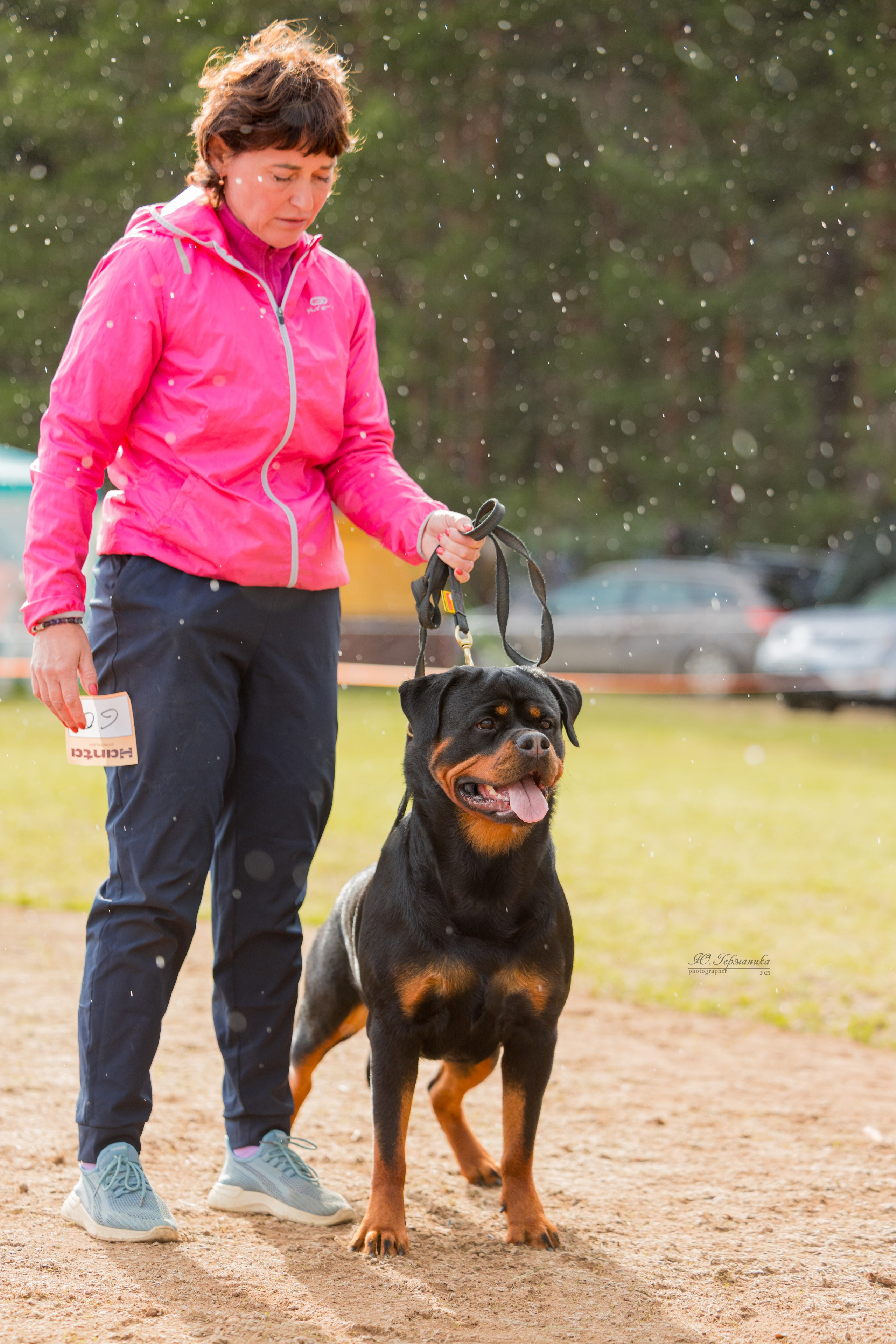 Тверь ротвейлеры 5-6.07.2025. Фотограф-анималист Юлия Германика
