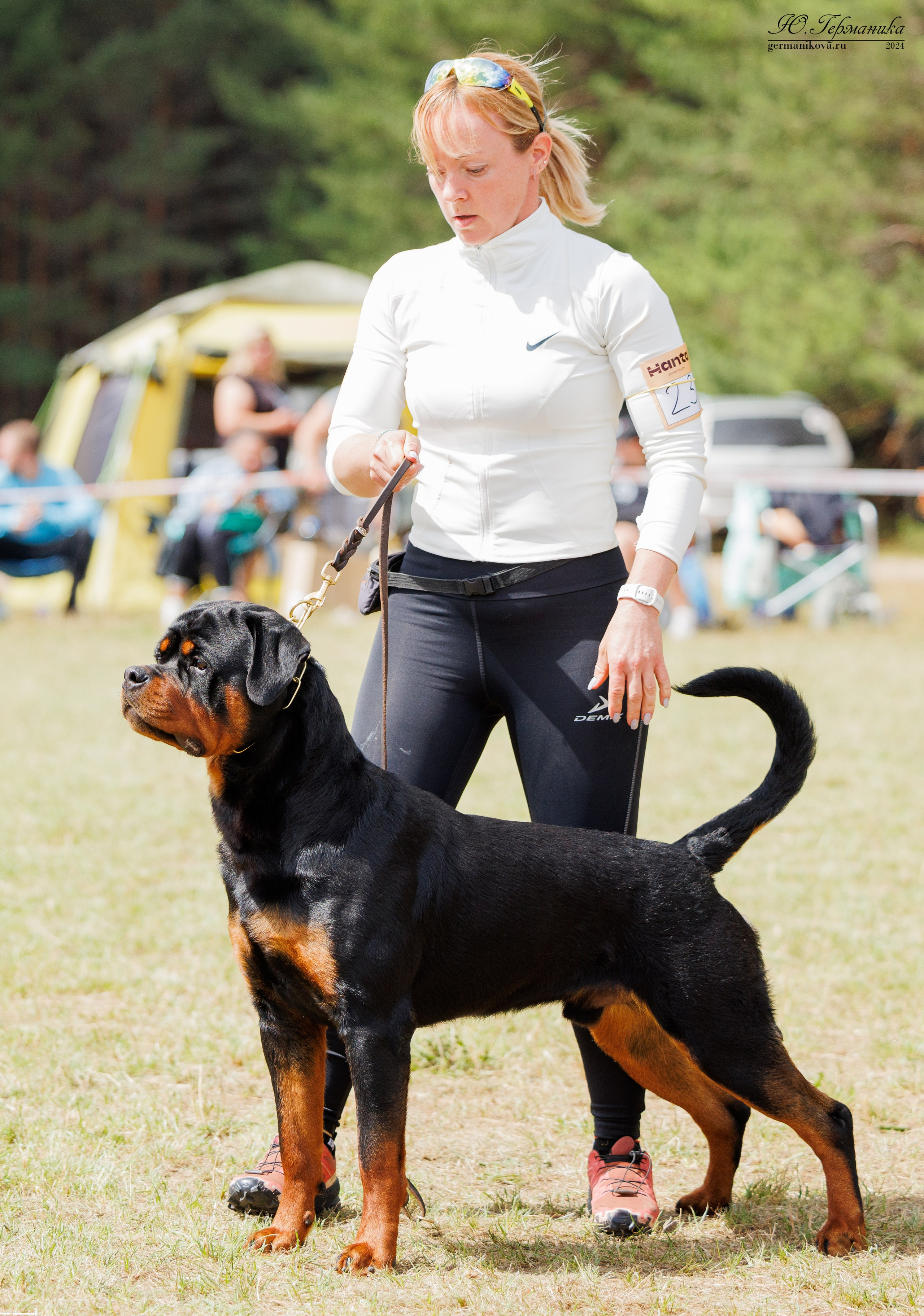ПК и КЧК ротвейлеры Тверь 6-7.07.2024. Фотограф-анималист Юлия Германика