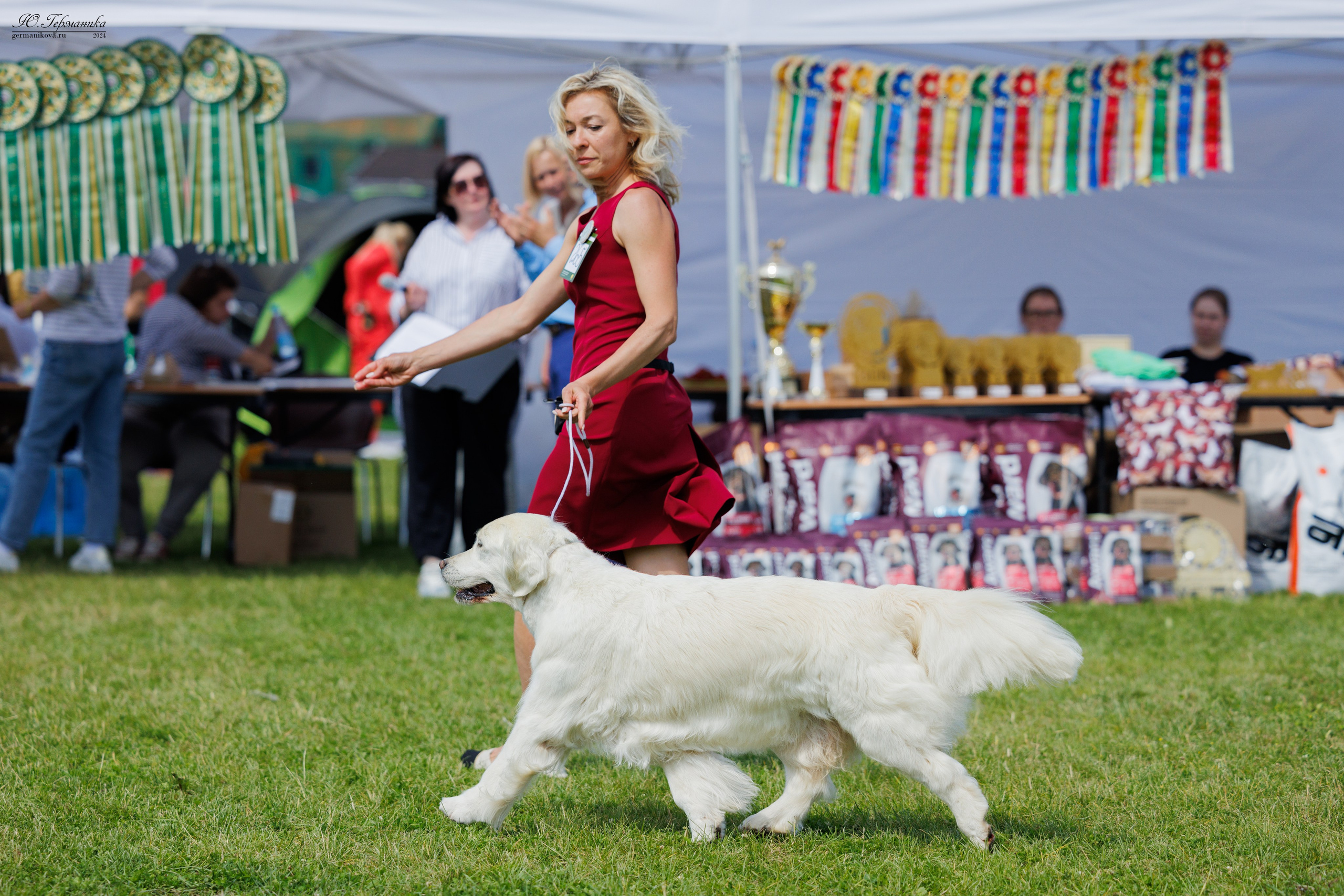 Голдены 15-16.06.2024. Фотограф-анималист Юлия Германика