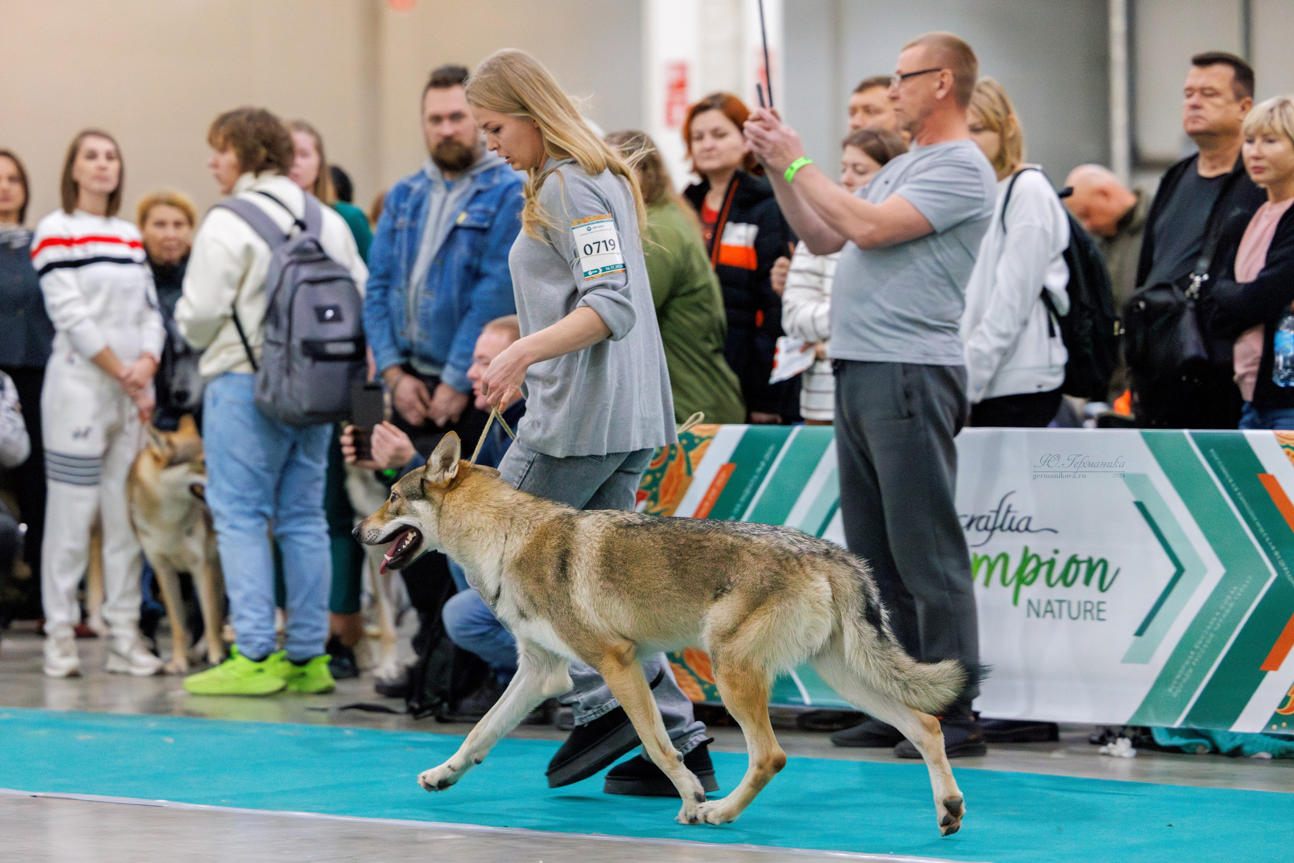 Евразия 16-17.11.2024. Фотограф-анималист Юлия Германика