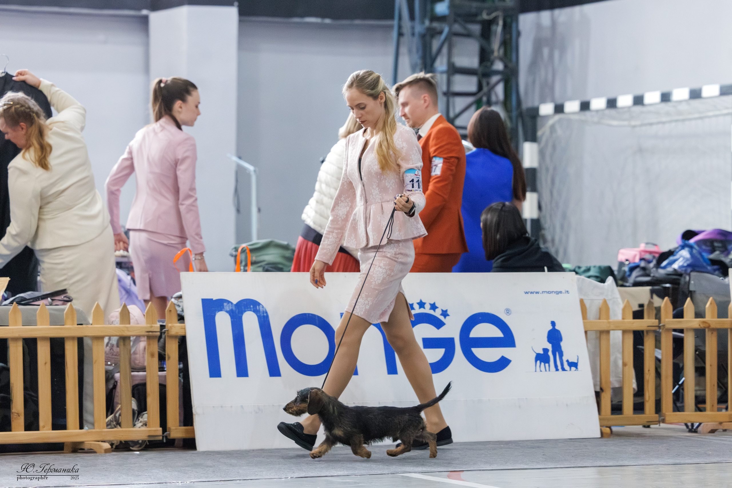 Ереван 2х CACIB 29-30.04.2025. Фотограф-анималист Юлия Германика