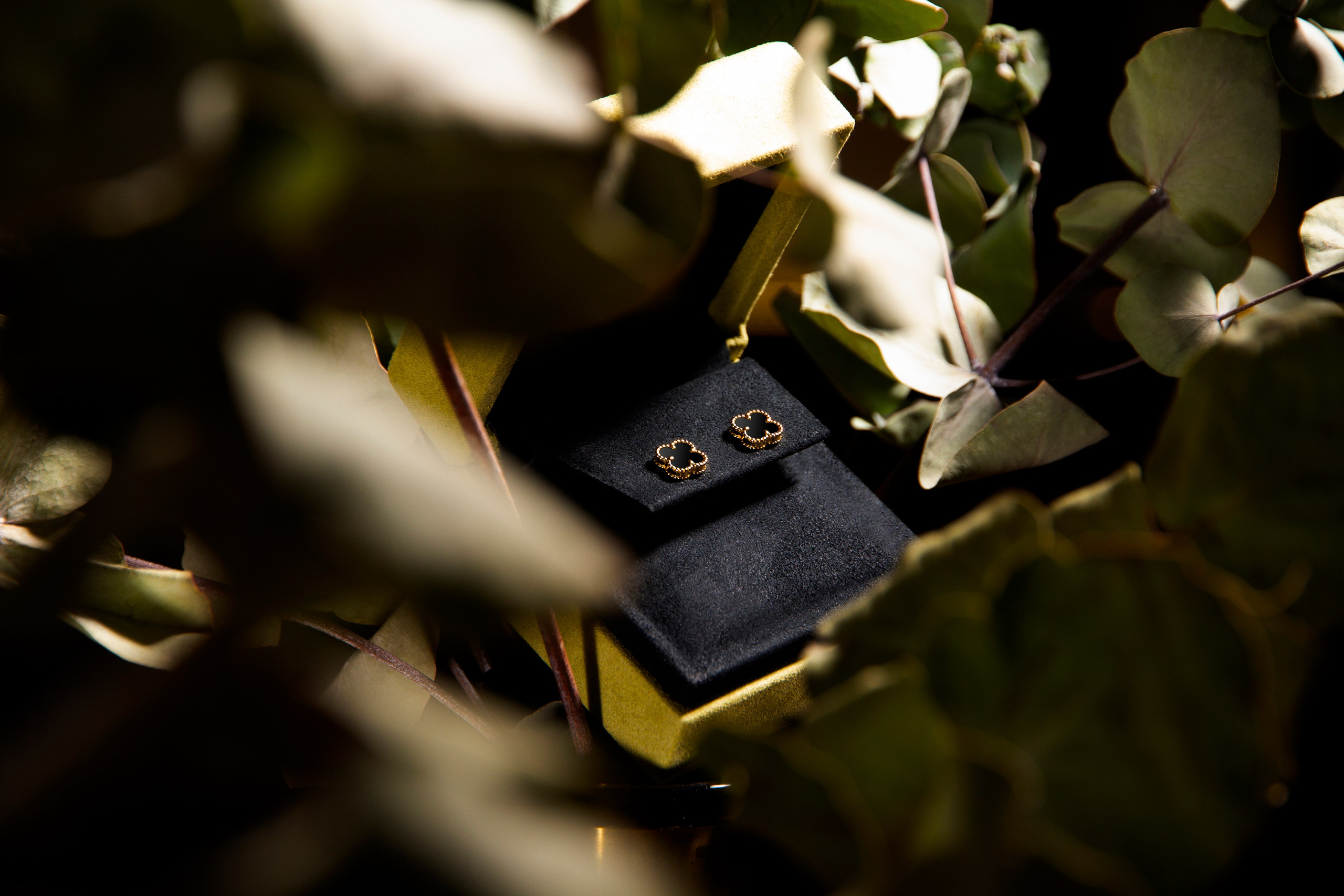 Аксессуары. Фотограф из Санкт-Петербурга