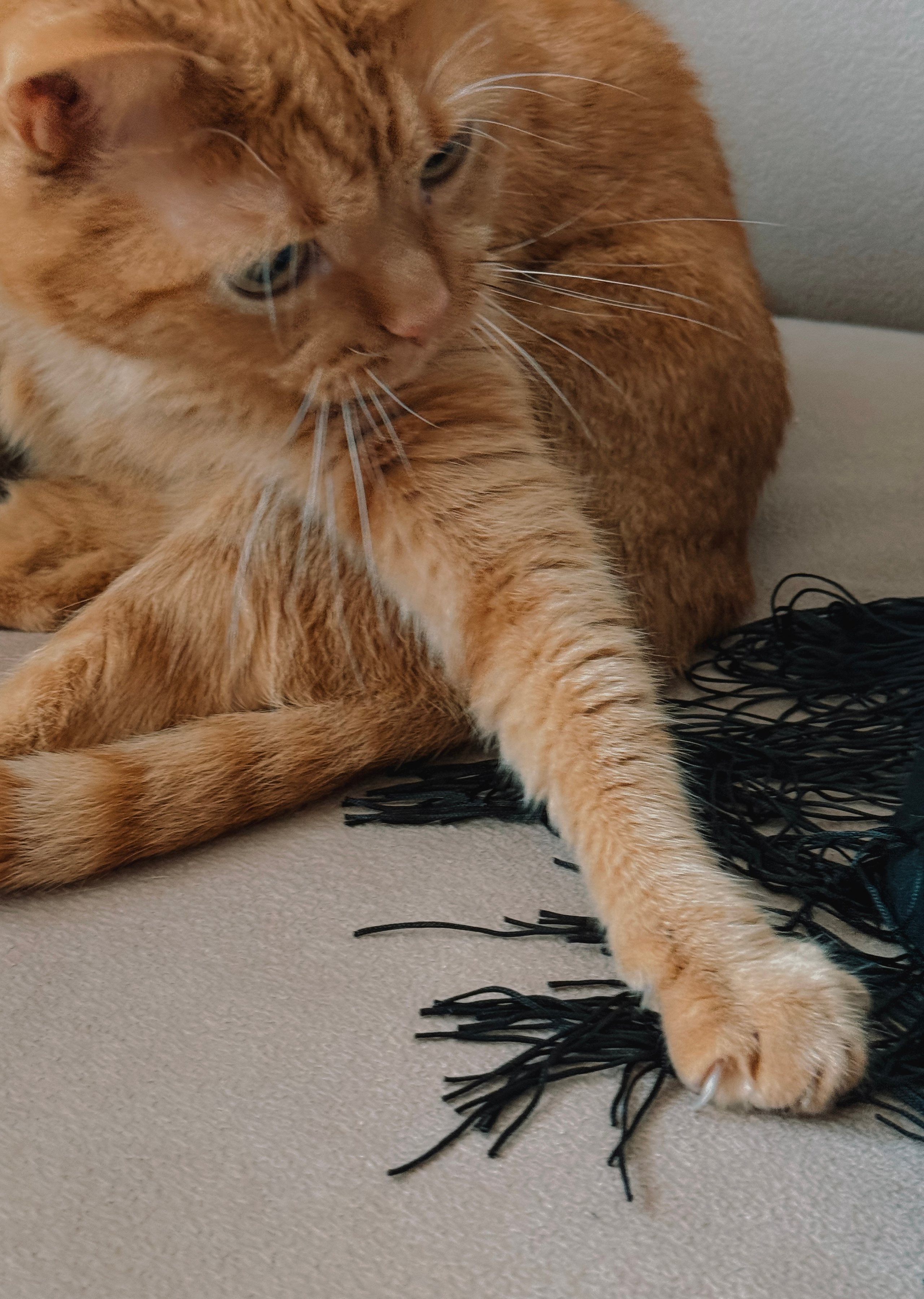 Кристина и Никита. Мобильный фотограф в Новосибирске Прилукова Анастасия