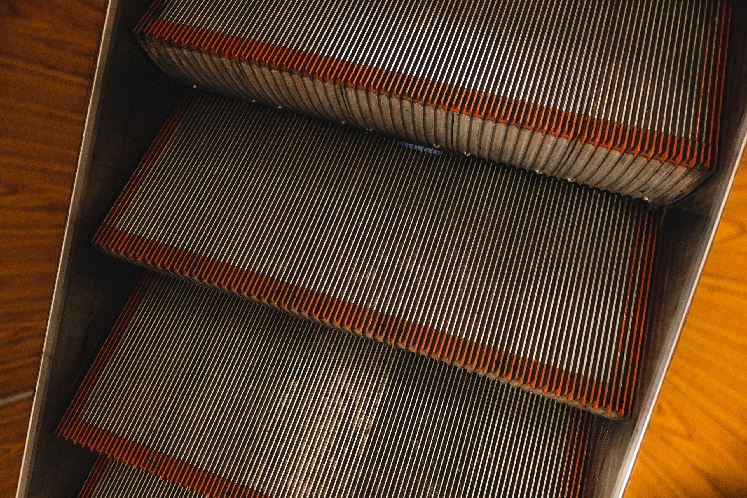 2023.06. Фотограф Алексей Алексеев