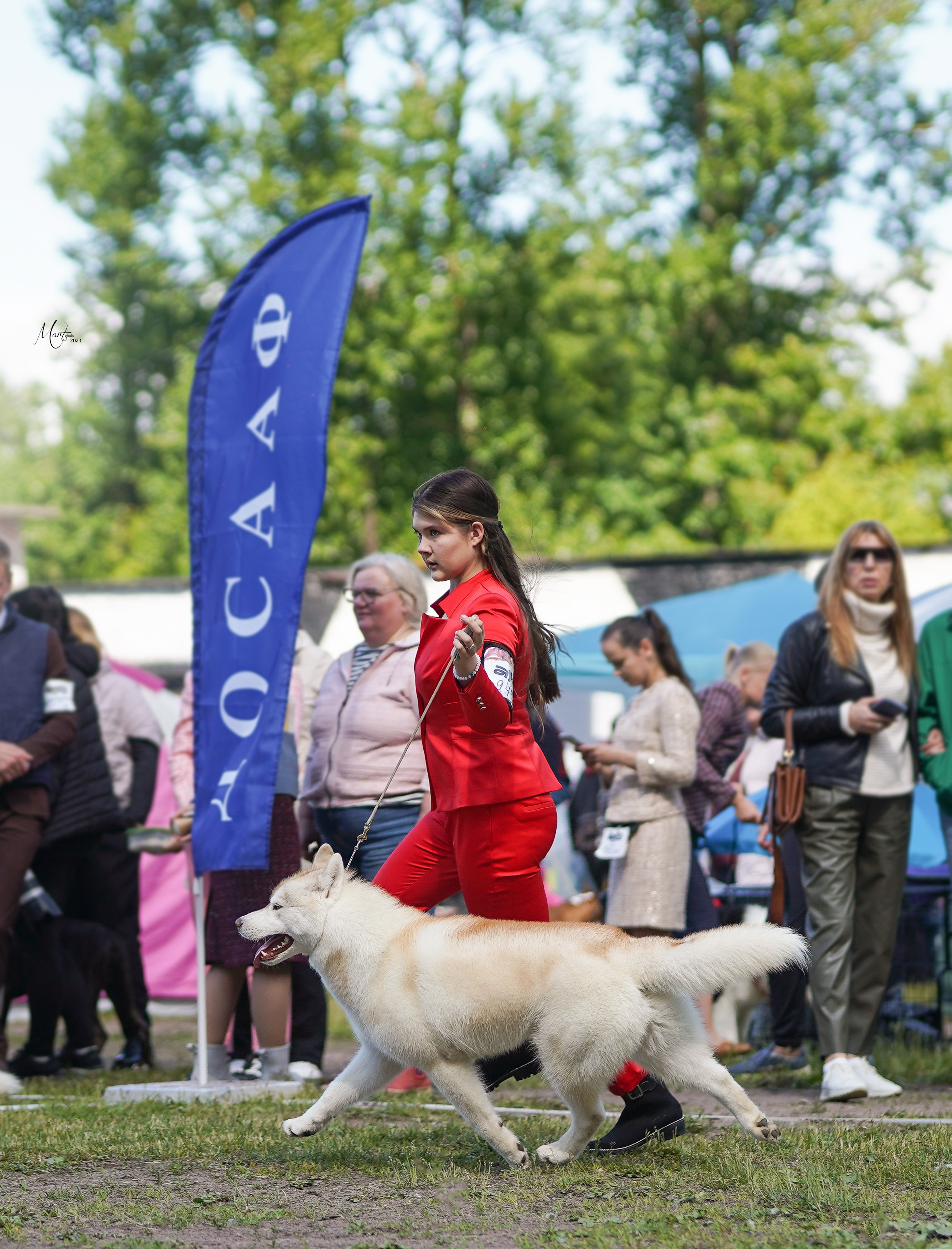 Выставки 2023. Фотограф-анималист в Санкт-Петербурге Яна Мартынова