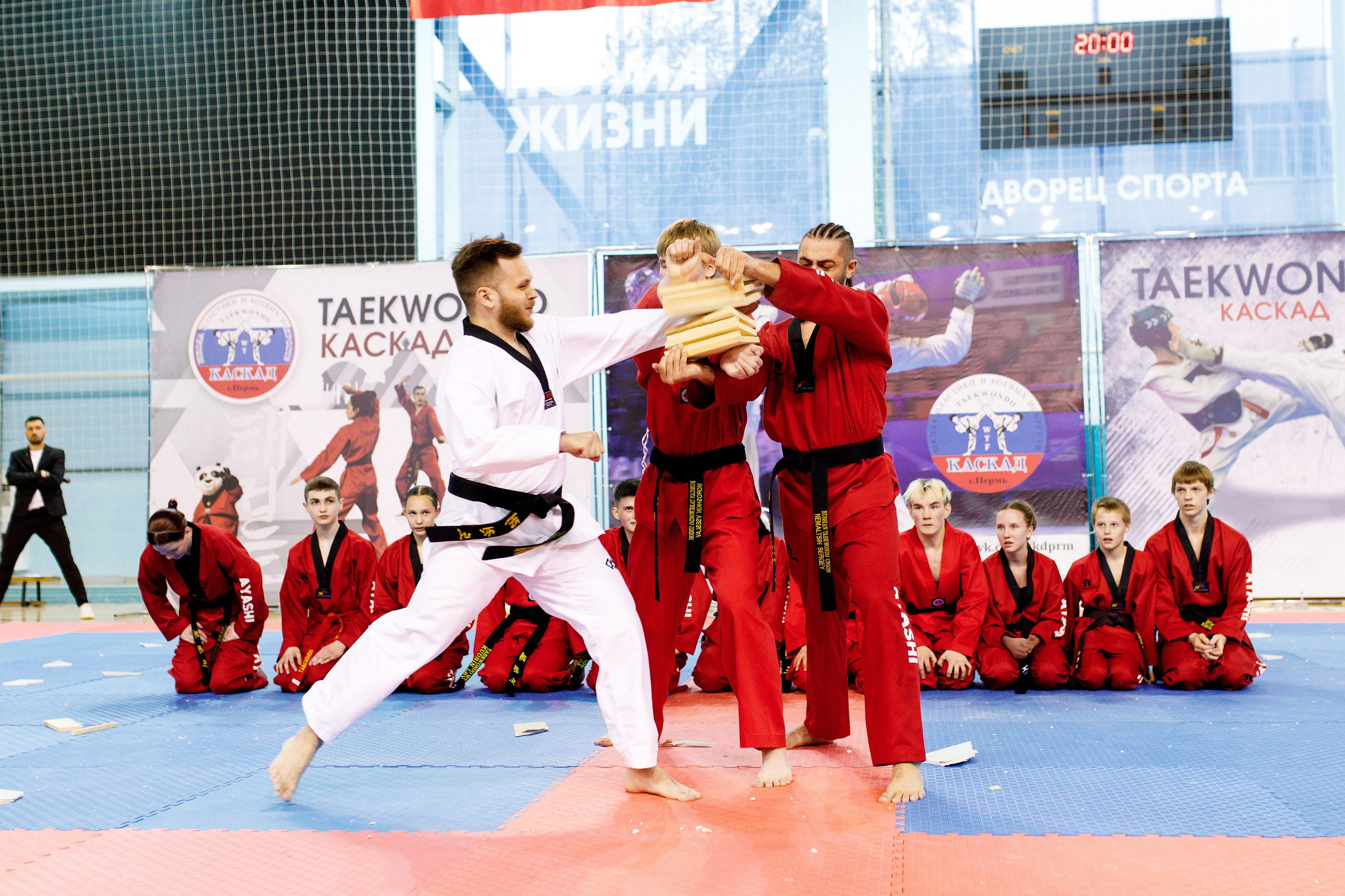 Тхэквондо СК «Каскад». Фотограф Дмитрий Молчанов | Фотограф Пермь | Фотограф