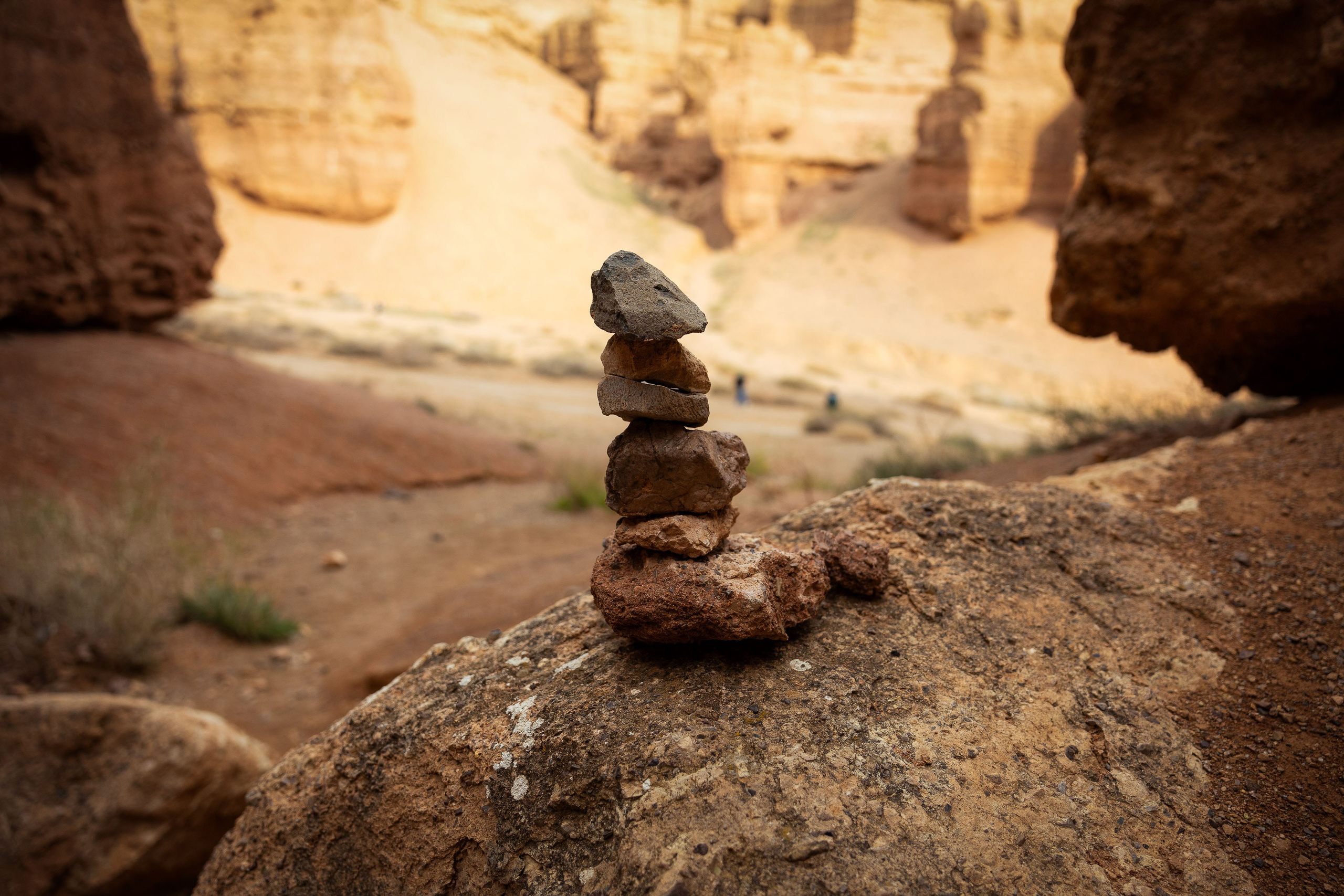 Казахстан (осень 2024). Фотограф Виноградов Константин