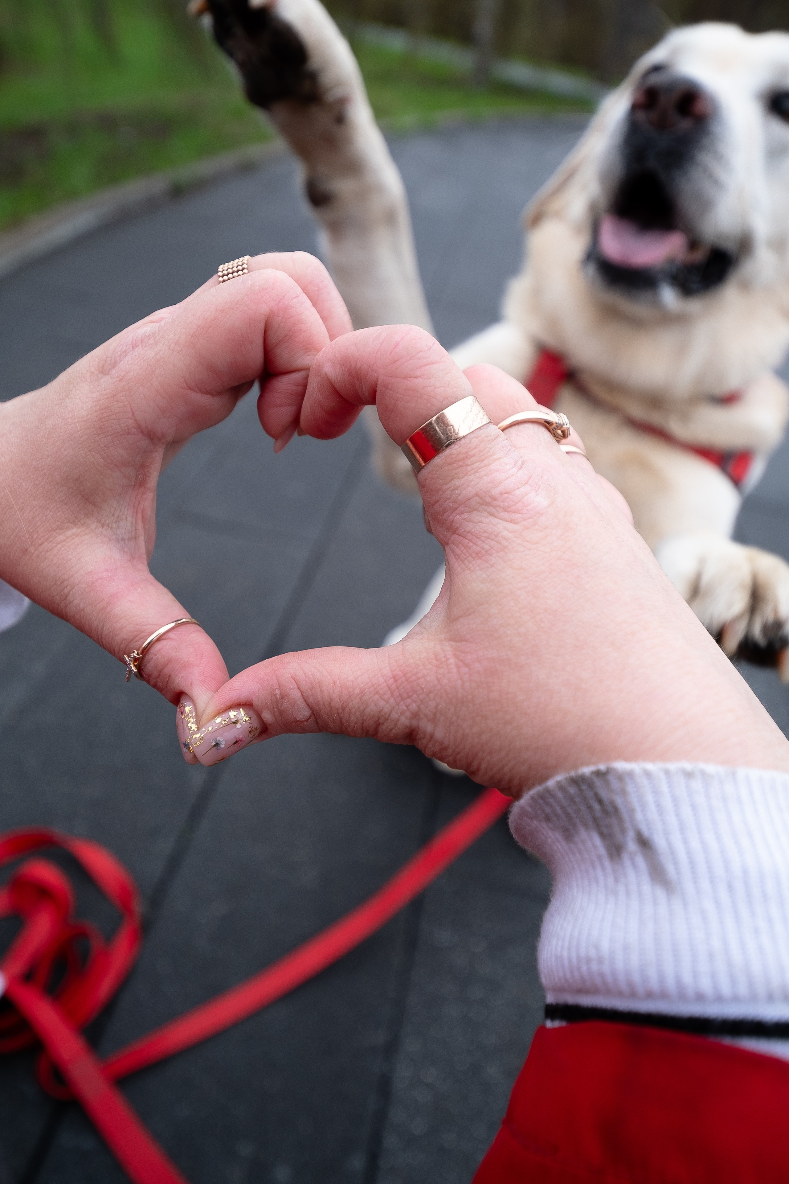 Света и Лето. Фотограф и видеограф анималист Аганина Дарья