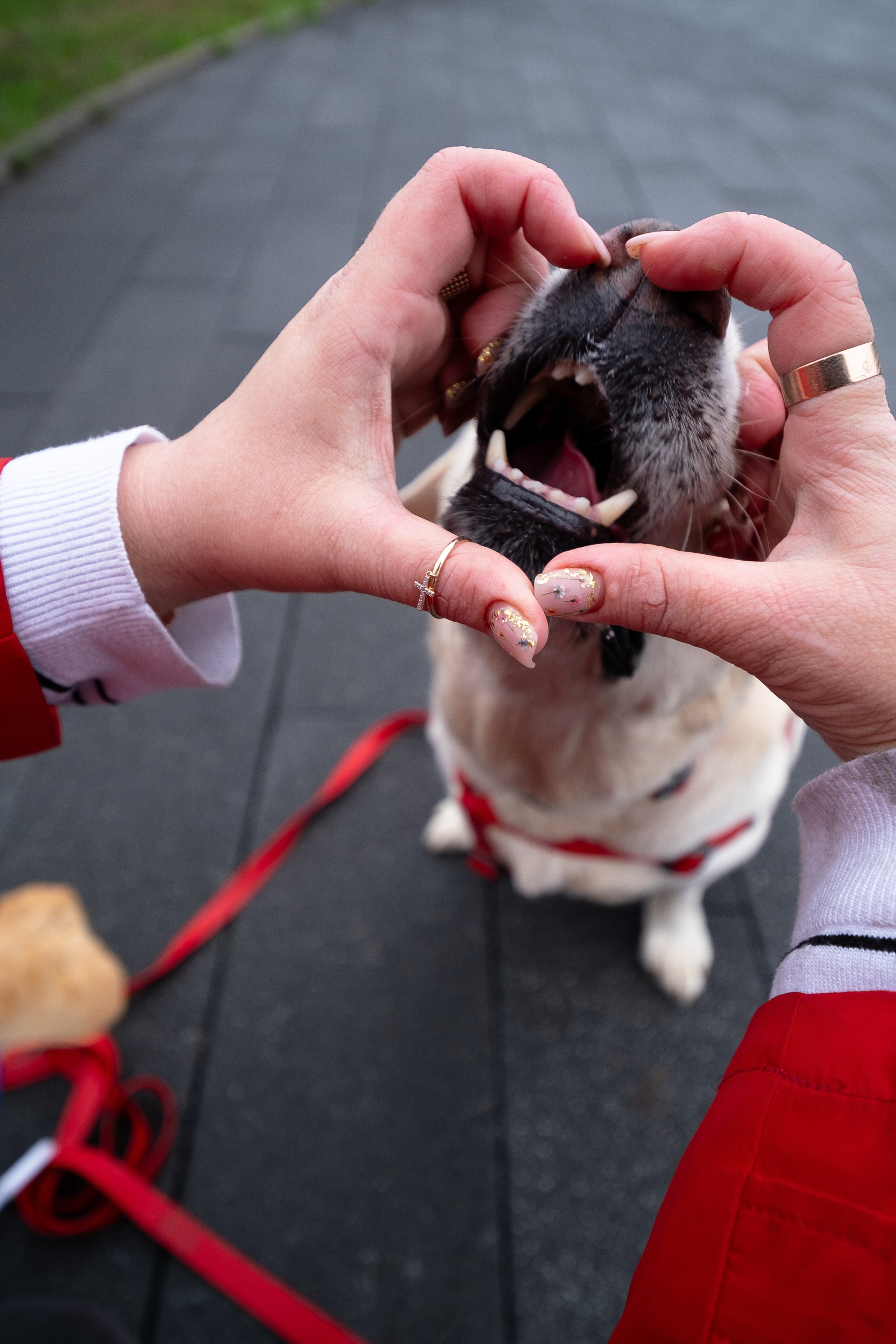 Света и Лето. Фотограф и видеограф анималист Аганина Дарья