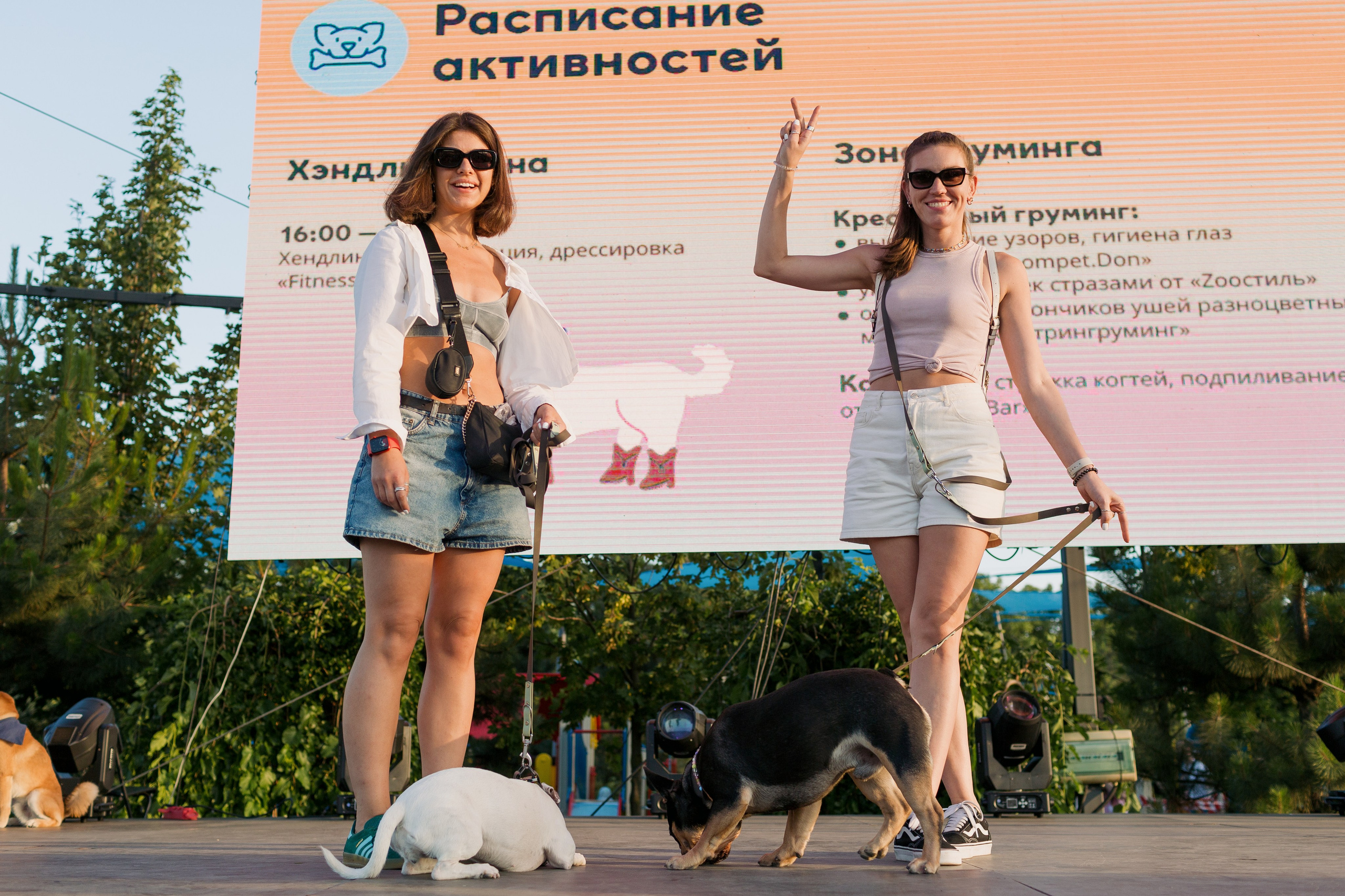 Dog Fest 2024. Главная