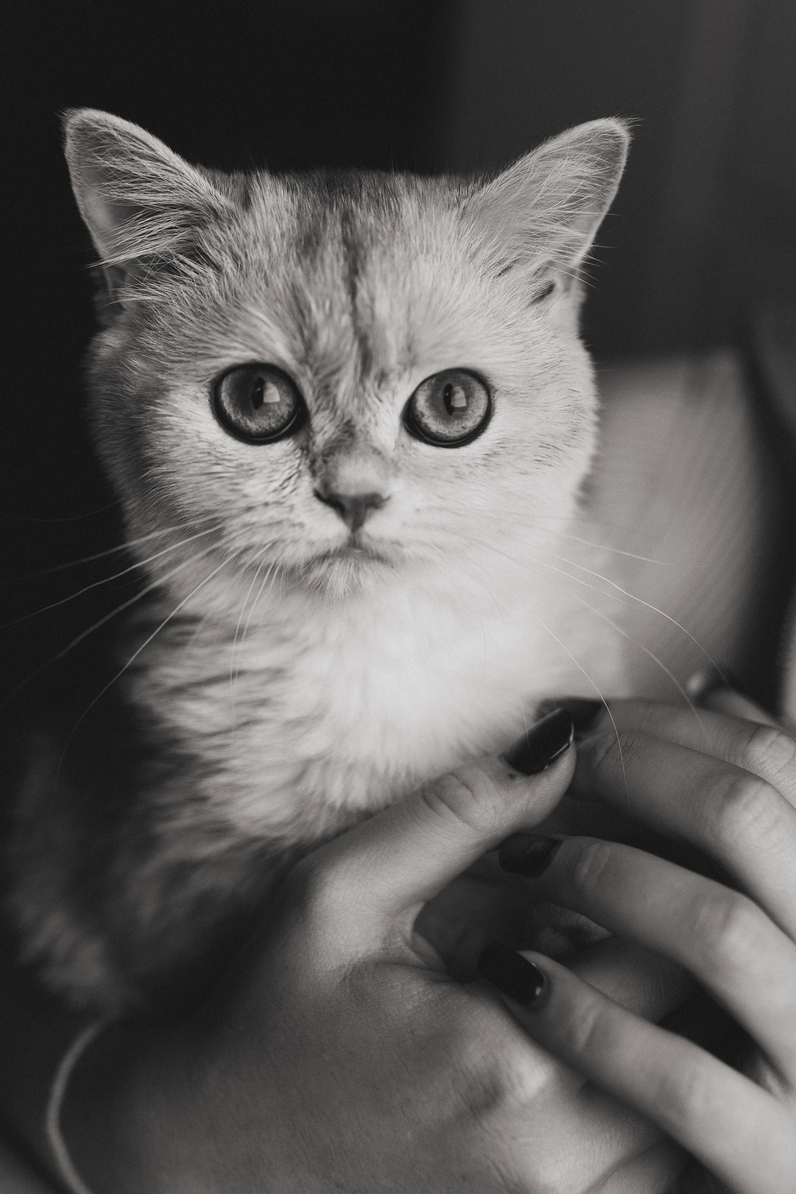 Алена. Фотограф Итуруп | Бурова Екатерина