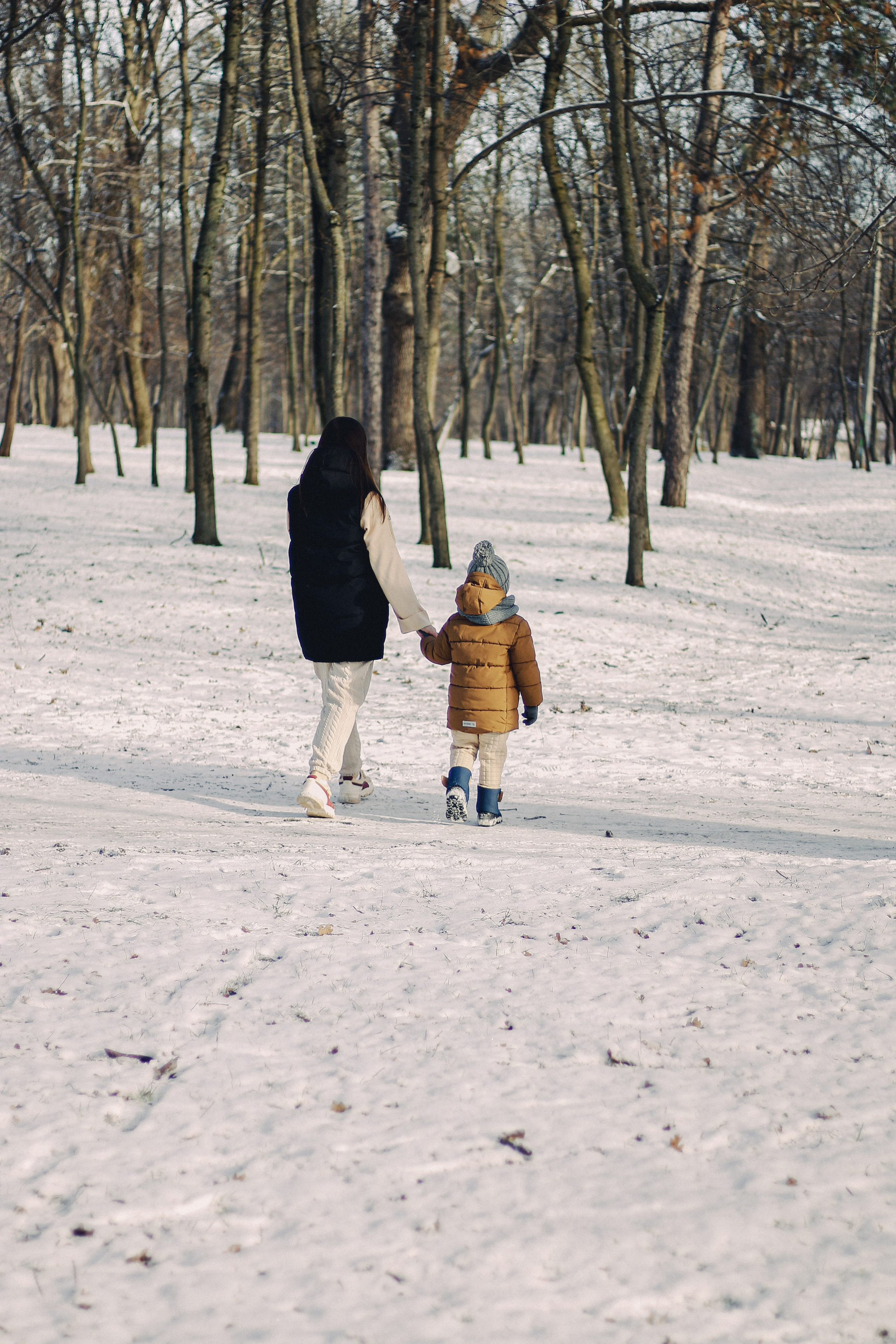 Зимний Краснодар. Фотограф Краснодар