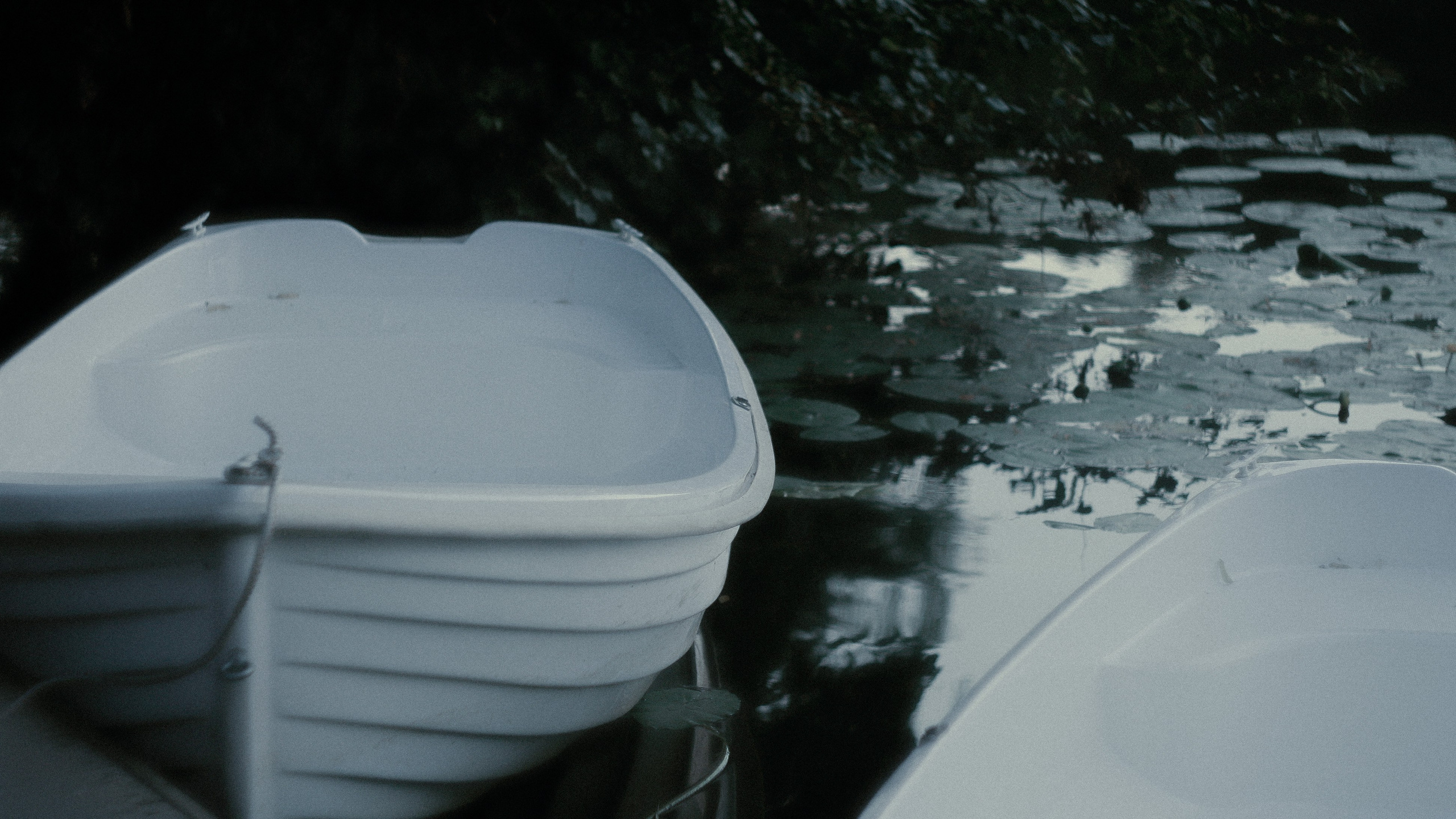 Максим, усадьба Останкино. Портретный и художественный фотограф в Москве