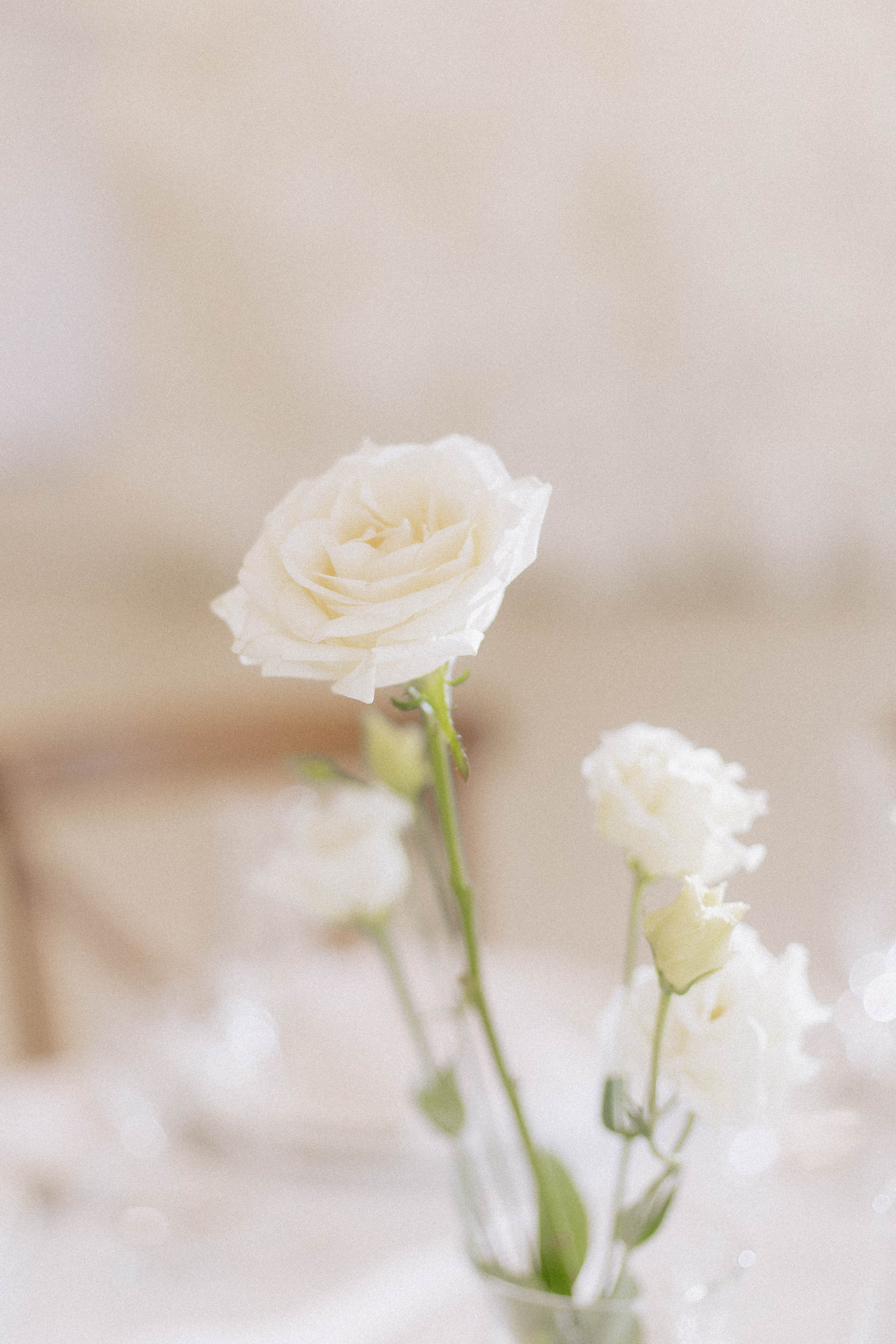 Семейный и свадебный фотограф в Волгограде Наталья Орина