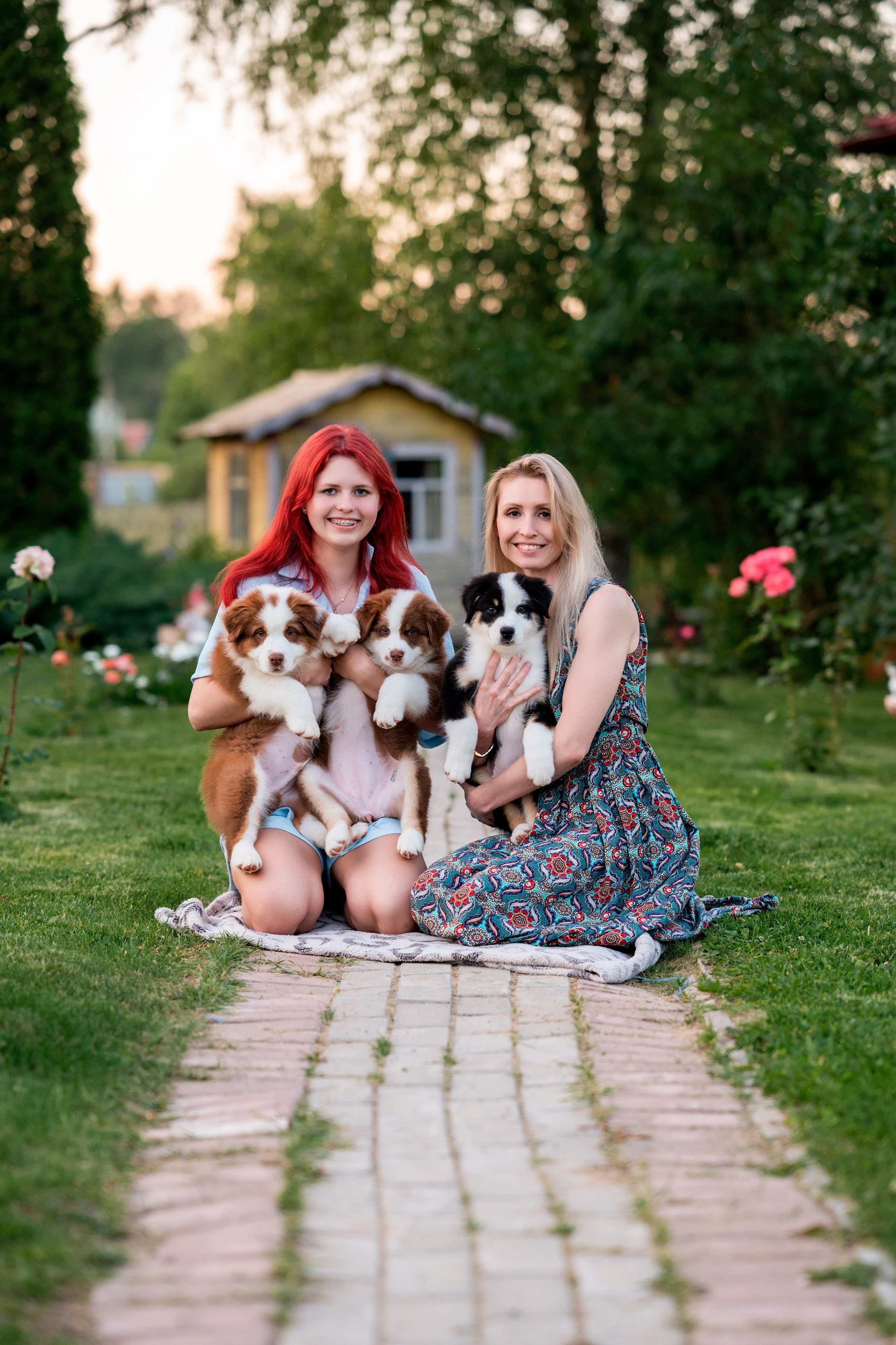 Заводчик Елизавета Степанова. Творческий фотограф Вологда