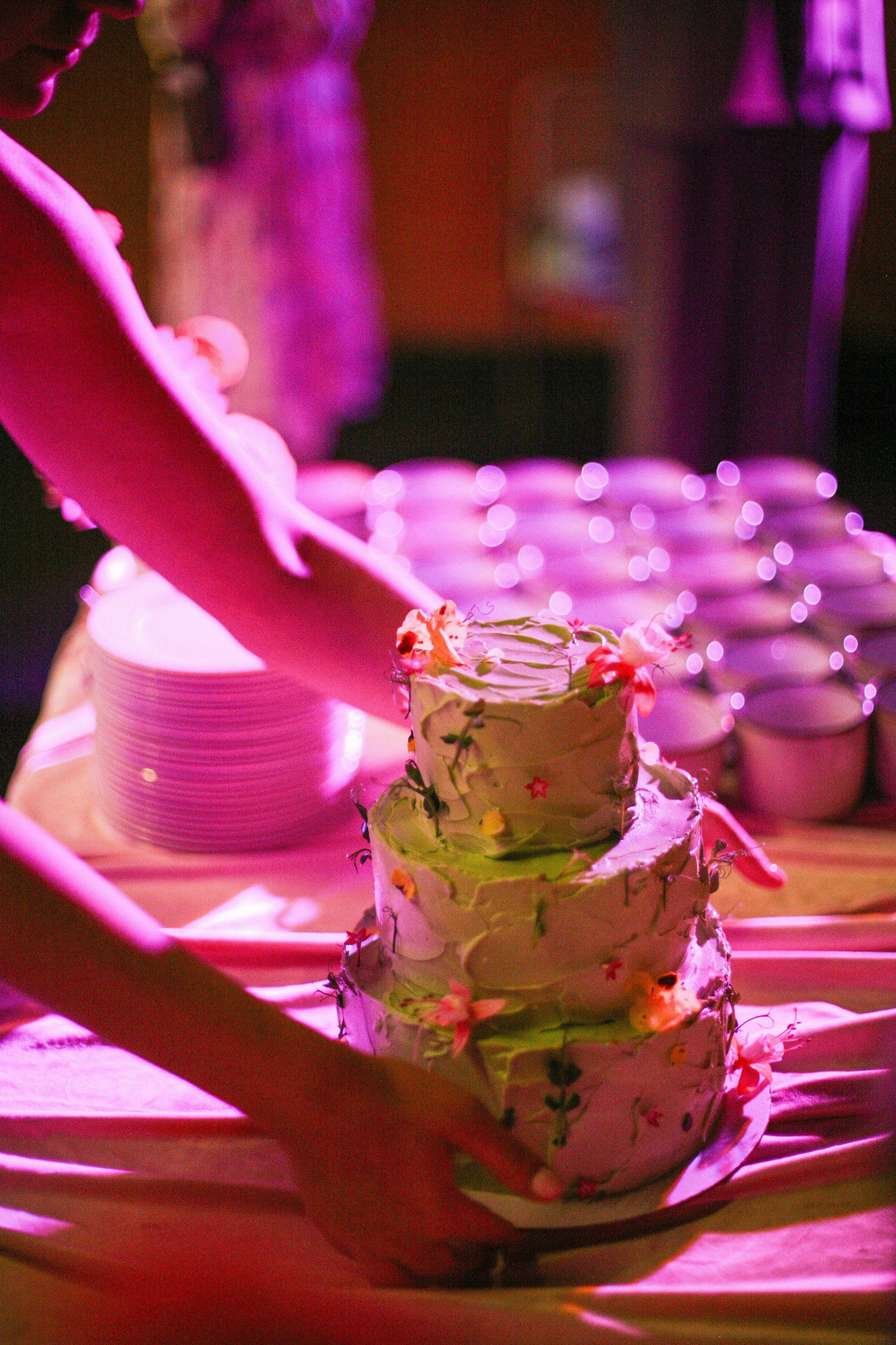 Аня и Кирилл (полный день с росписью). Фотограф Екатерина Максимова: семейные, индивидуальные съемки, свадьбы