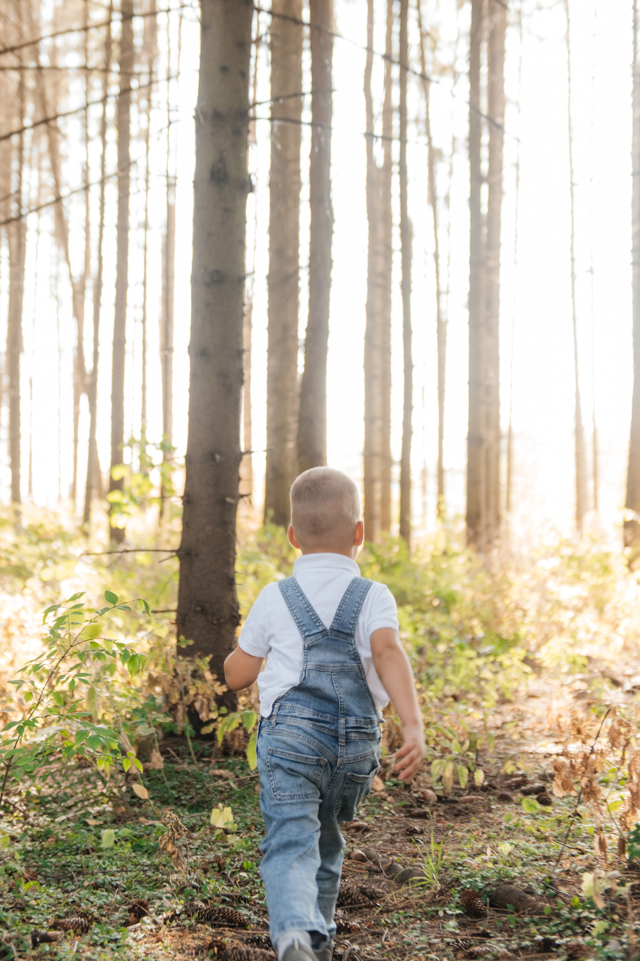 ДОМАШНИЙ УЮТ. ДИНА МИХНЕВА спортивный фотограф Москва