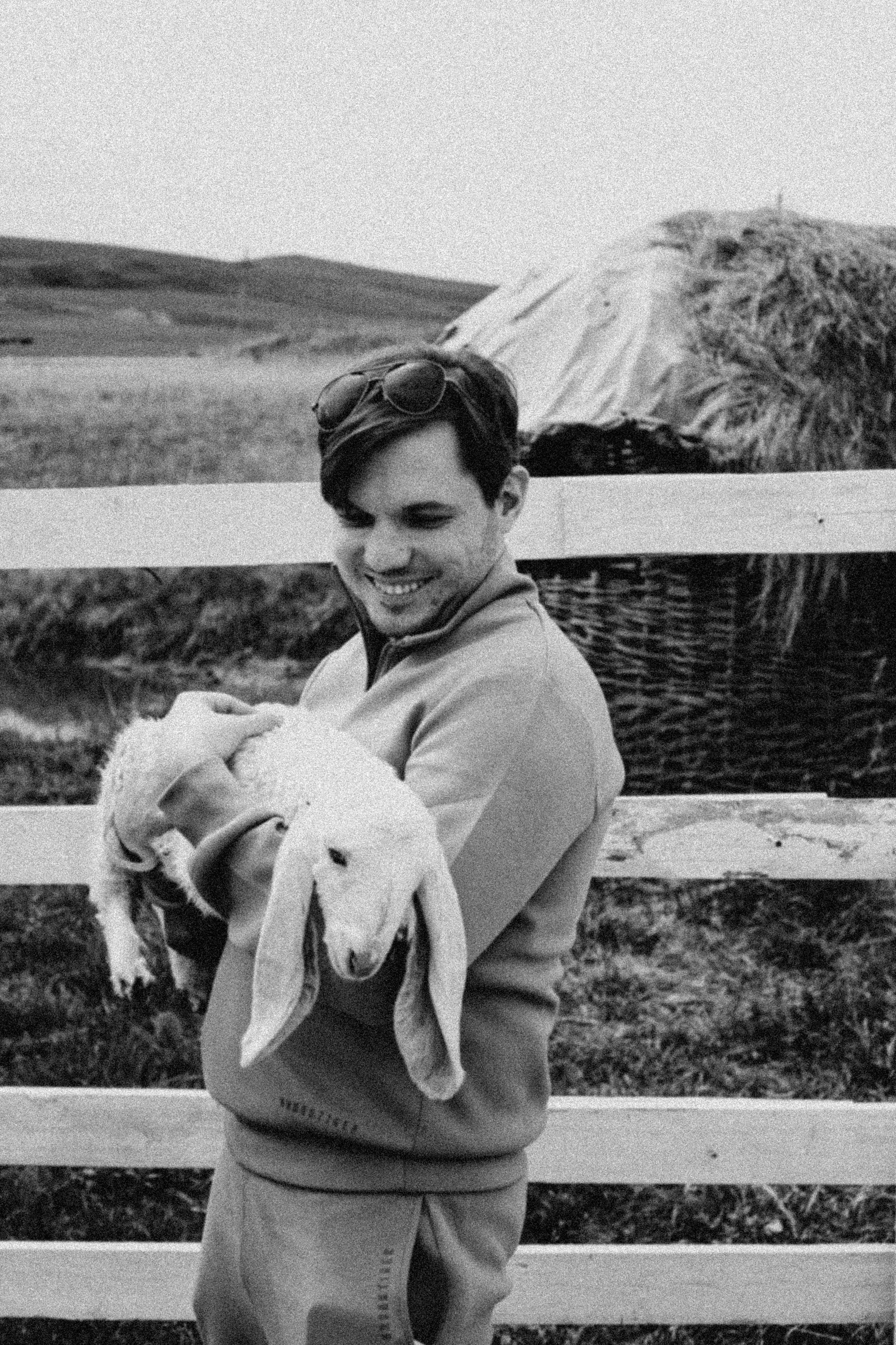 Ферма Альпак. Профессиональный фотограф, Санкт-Петербург — Виктория Богомолова