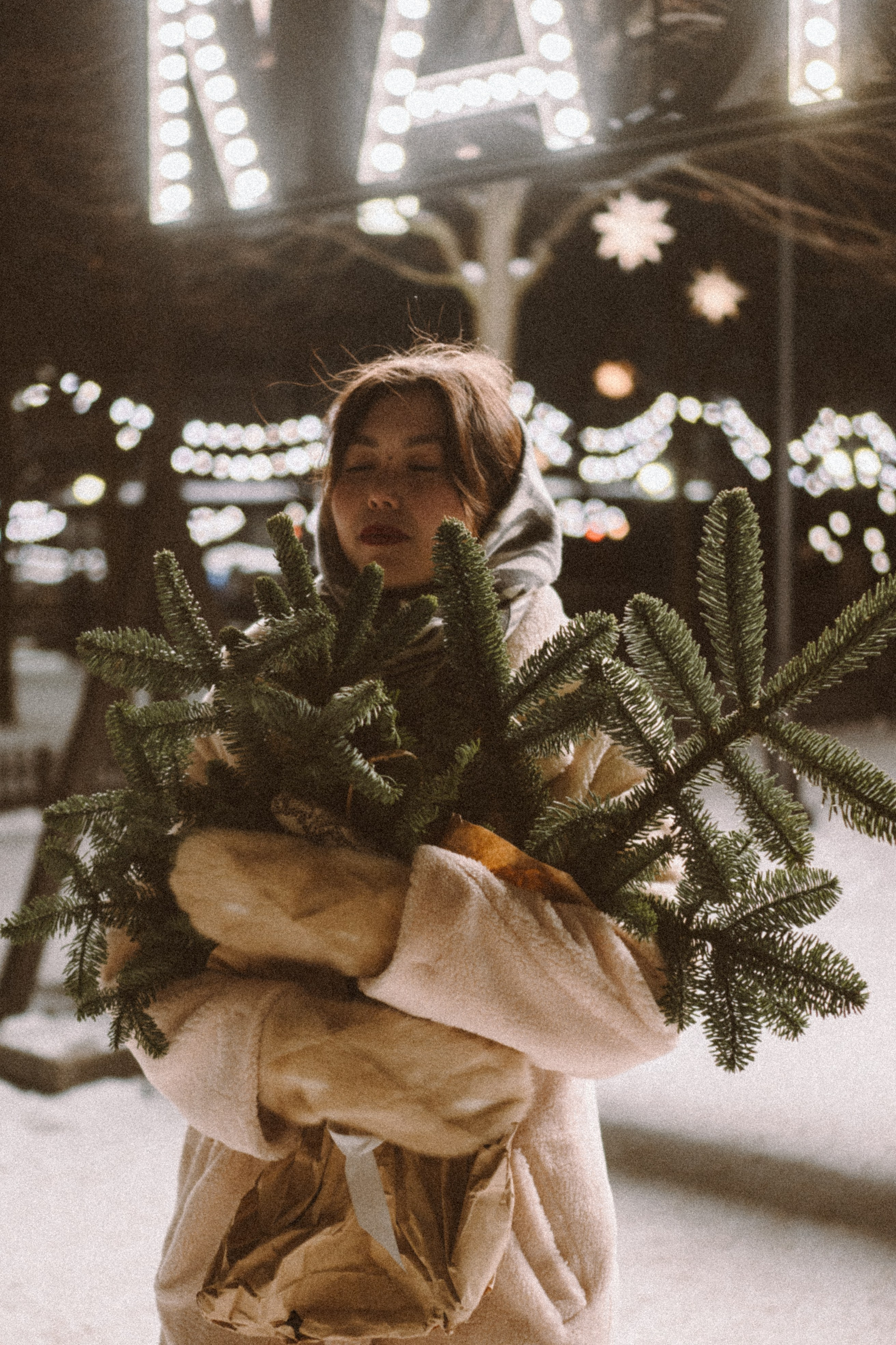 Зимняя сказка в Новой Голандии. Профессиональный фотограф, Санкт-Петербург — Виктория Богомолова